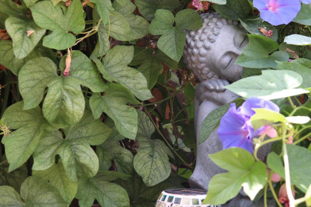 HouseFor Sale, Calpe, Alicante