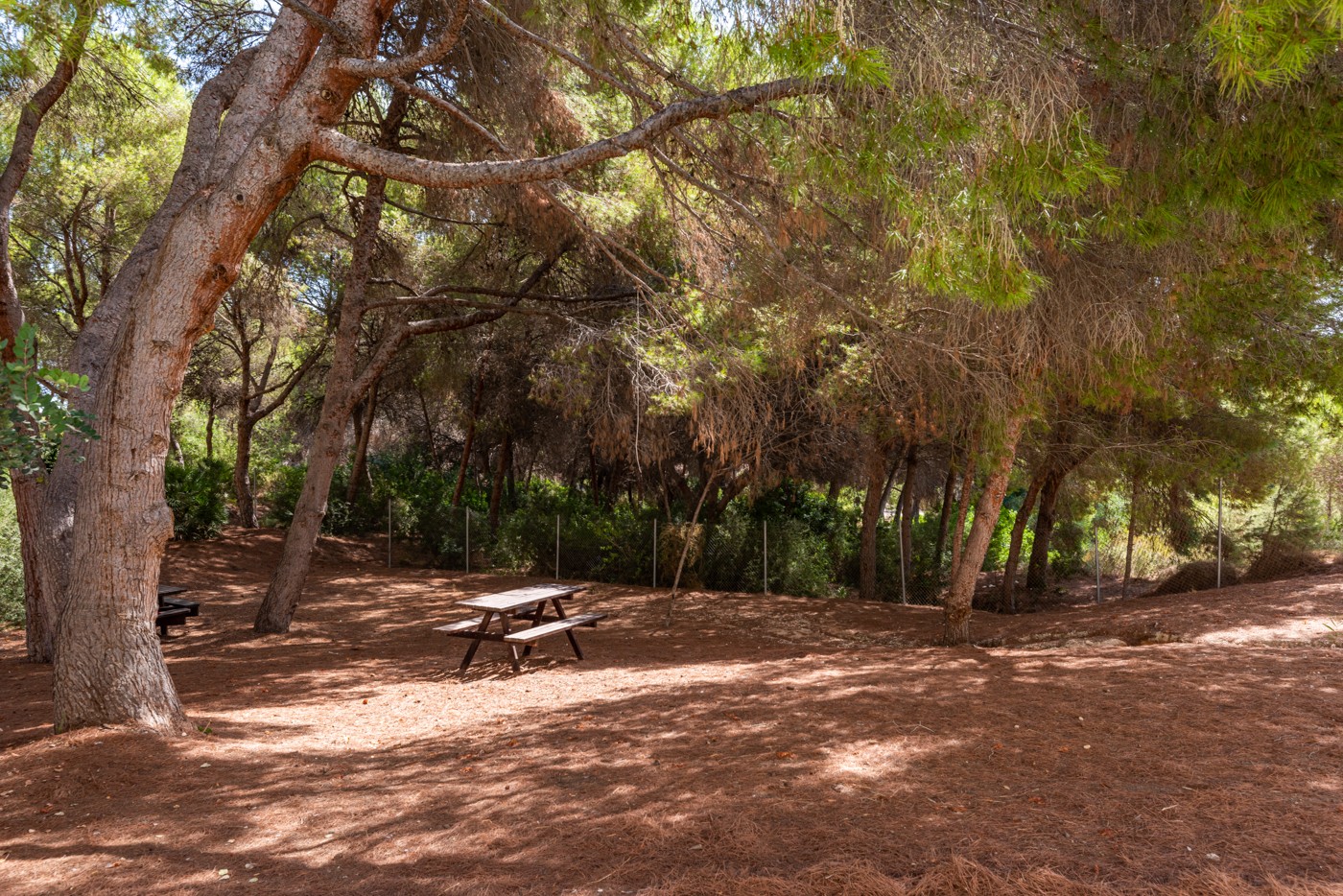 3 Bed, 2 Bath, ApartmentFor Sale, Alicante, Alicante