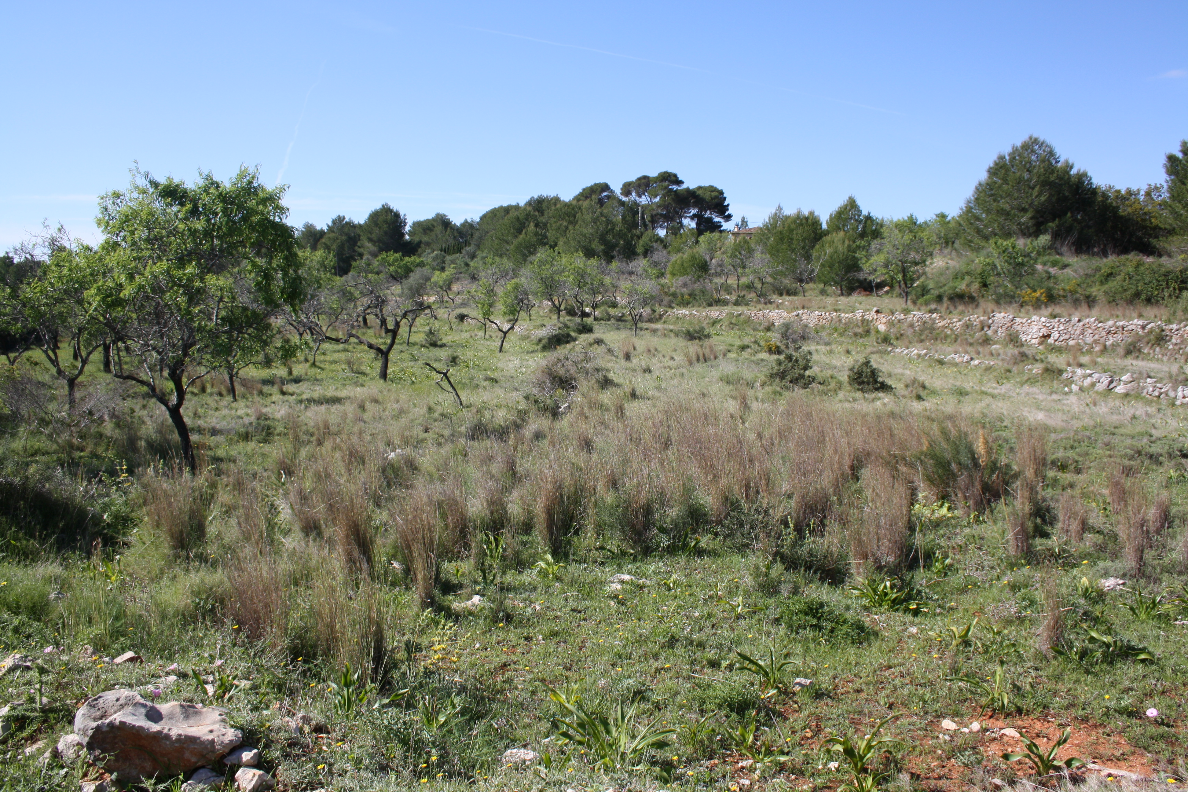 5 Bed, 3 Bath, HouseFor Sale, Benissa, Alicante