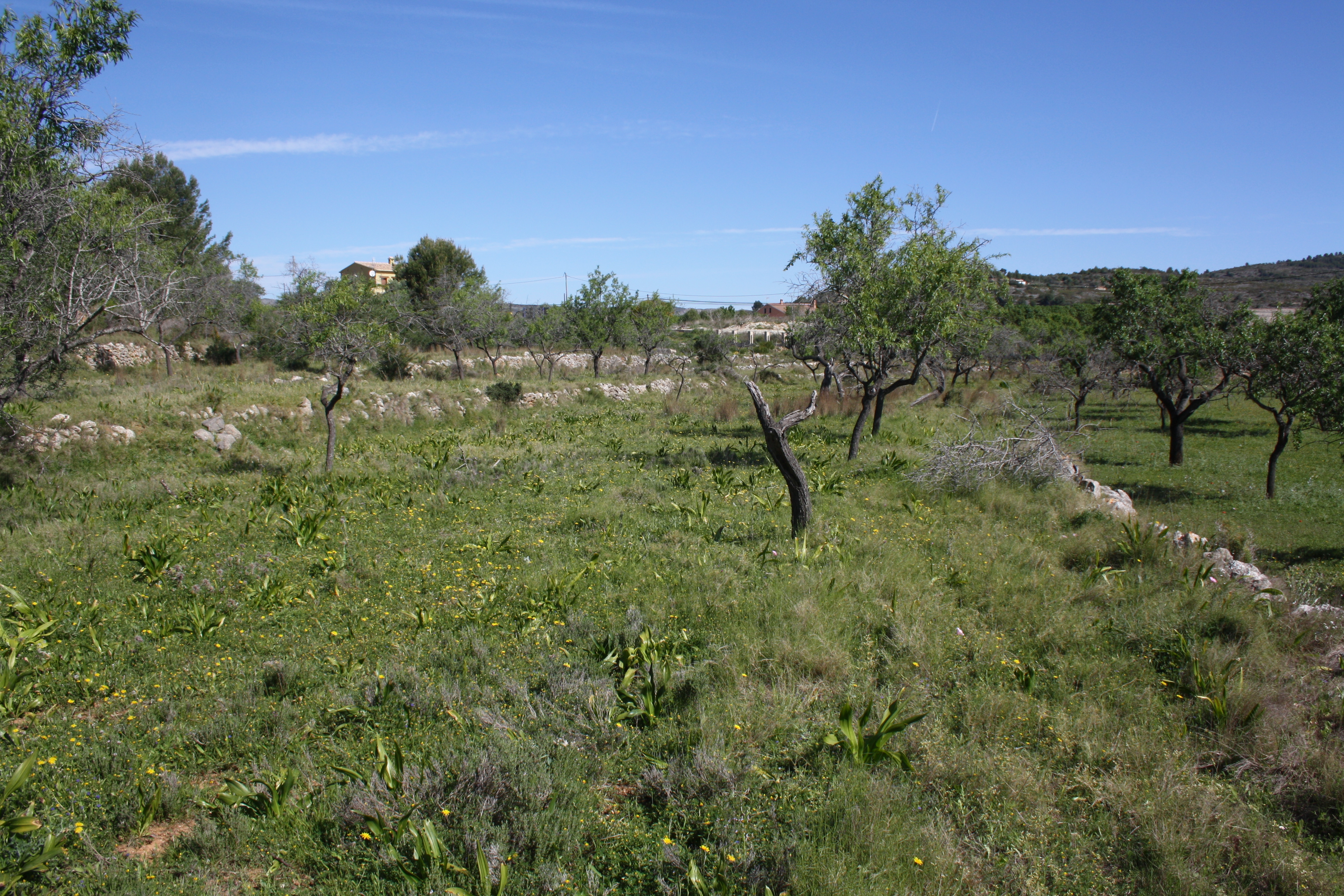 5 Bed, 3 Bath, HouseFor Sale, Benissa, Alicante