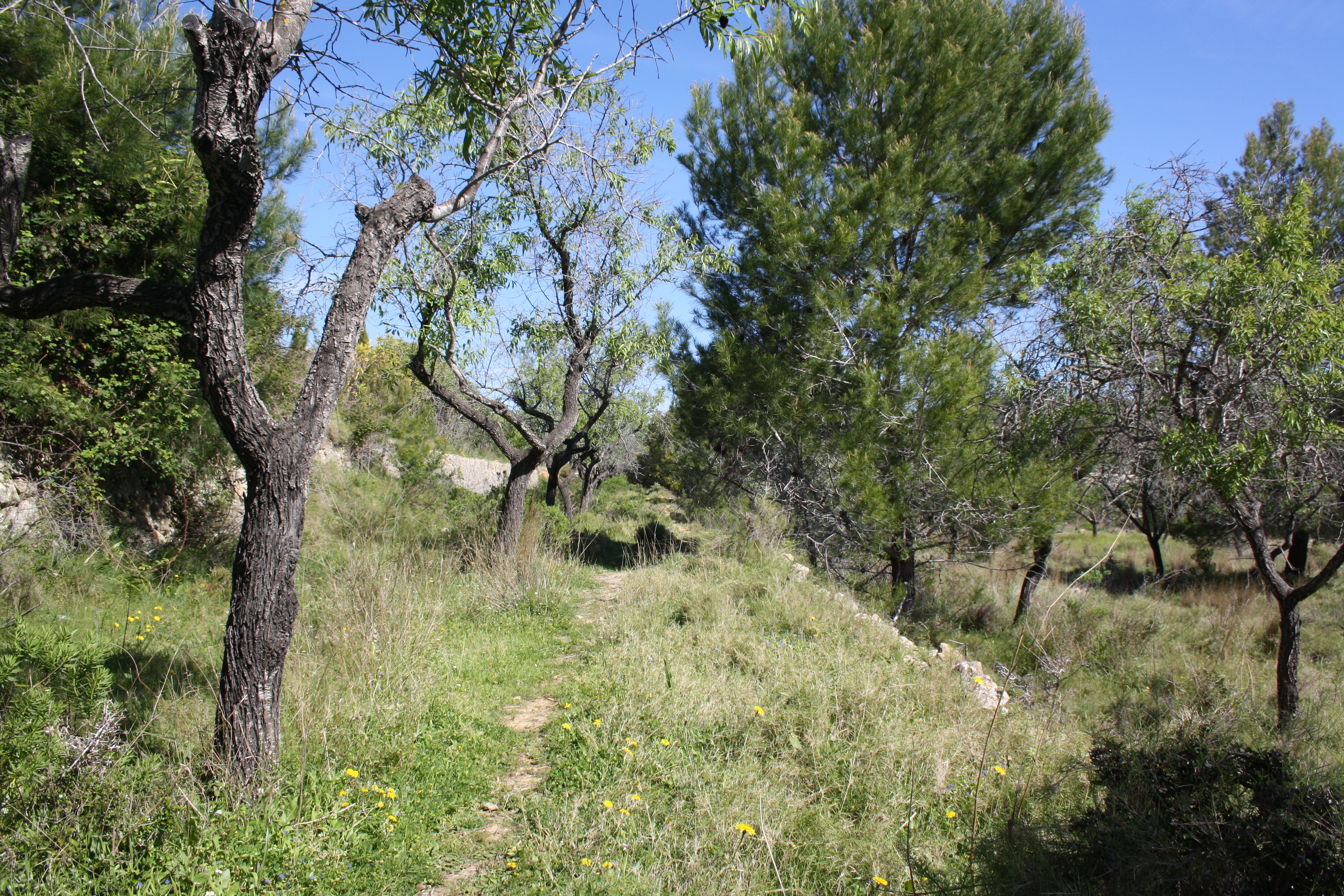 5 Bed, 3 Bath, HouseFor Sale, Benissa, Alicante