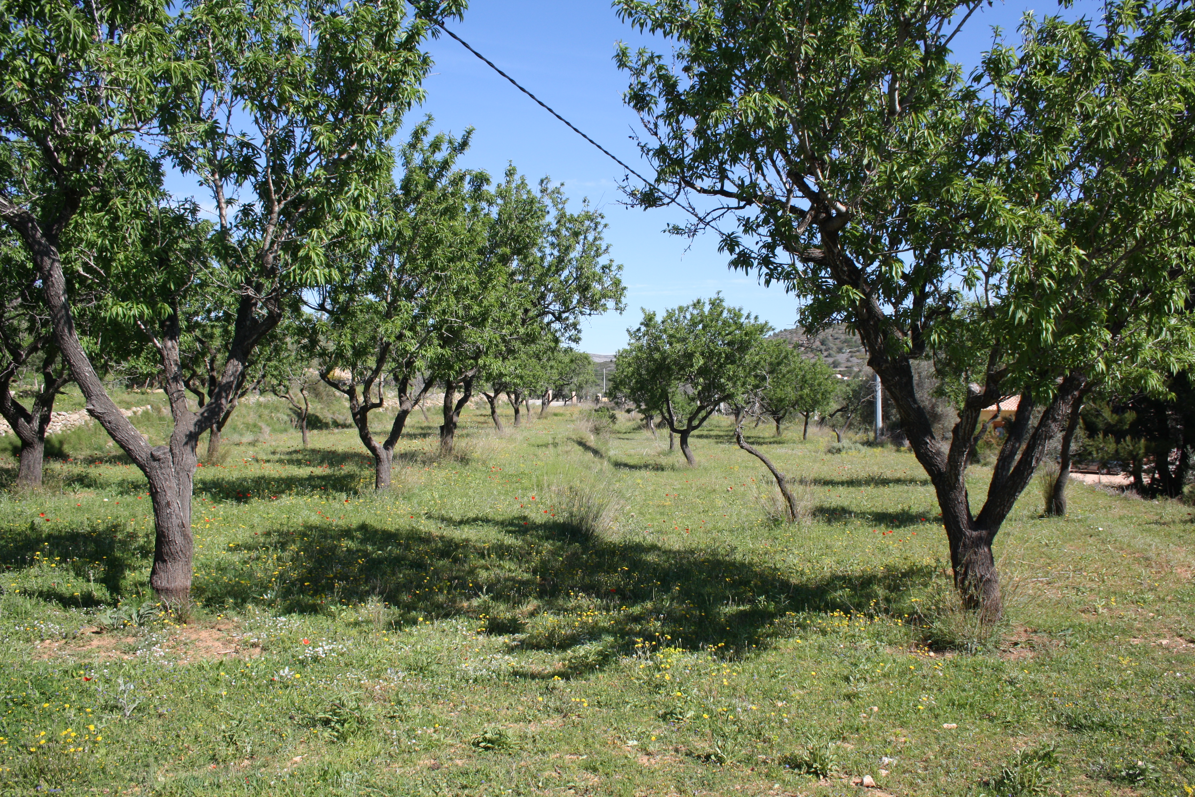 5 Bed, 3 Bath, HouseFor Sale, Benissa, Alicante