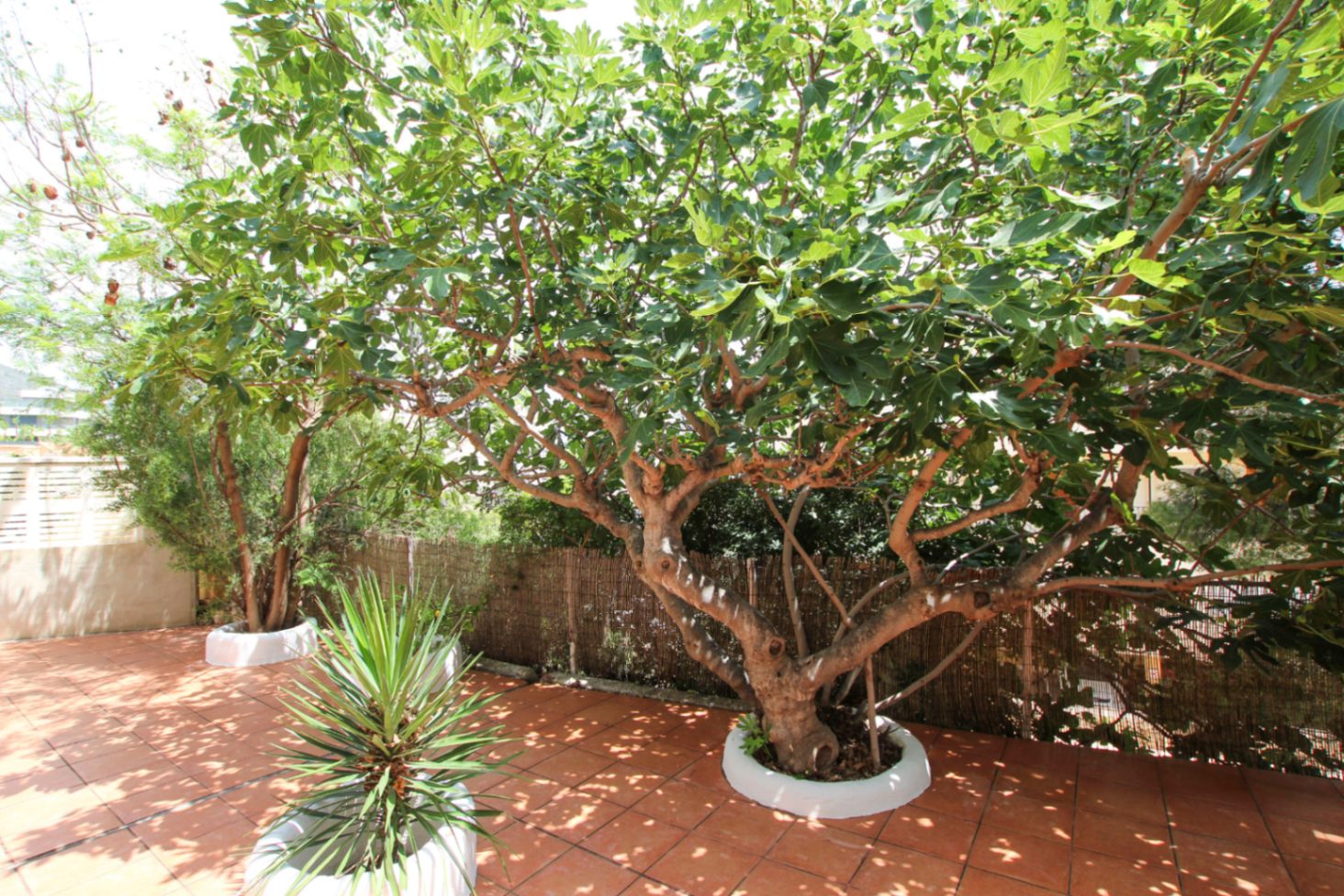 4 Bed, 2 Bath, HouseFor Sale, Calpe, Alicante