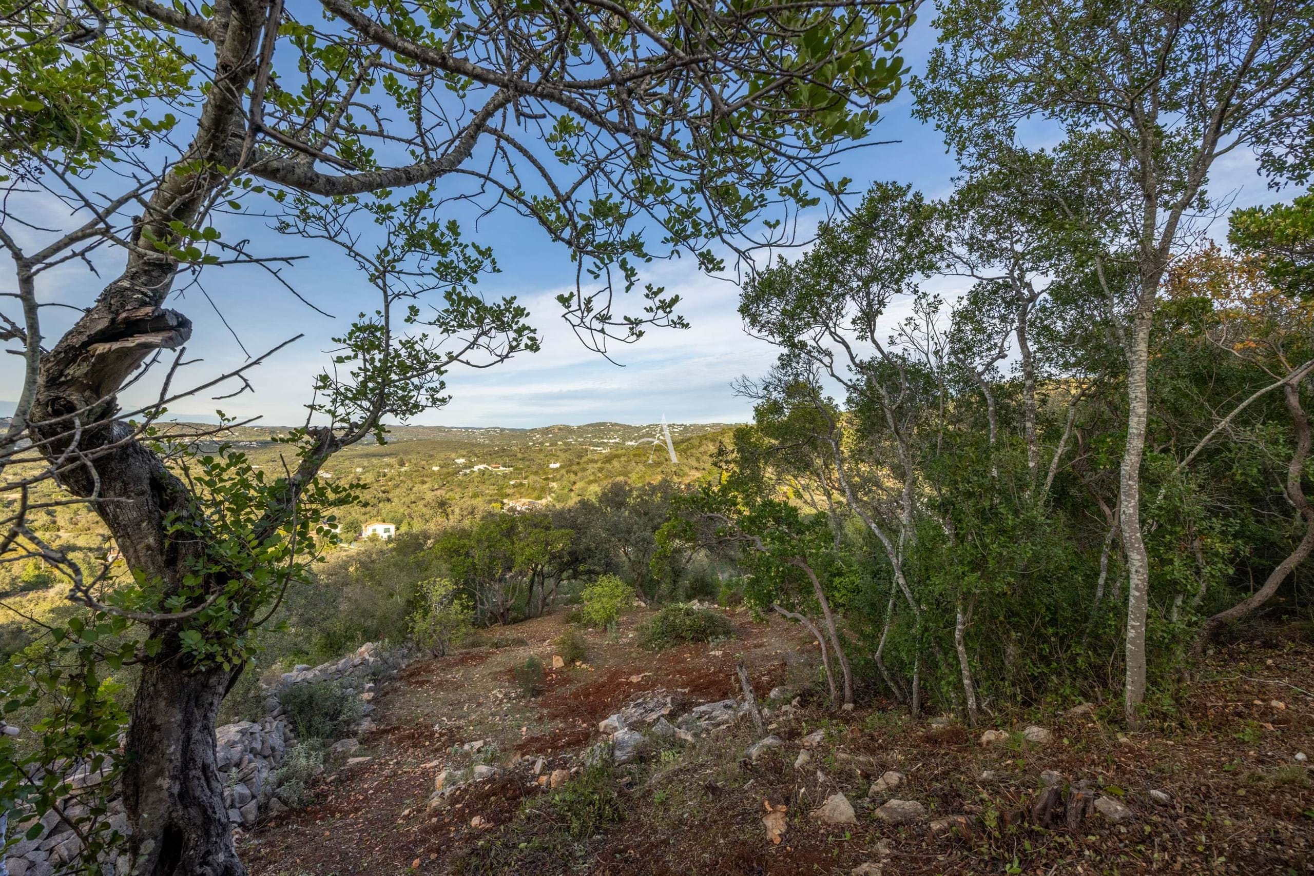 3 Bed, 3 Bath, ApartmentFor Sale, Faro, Faro, 805-487