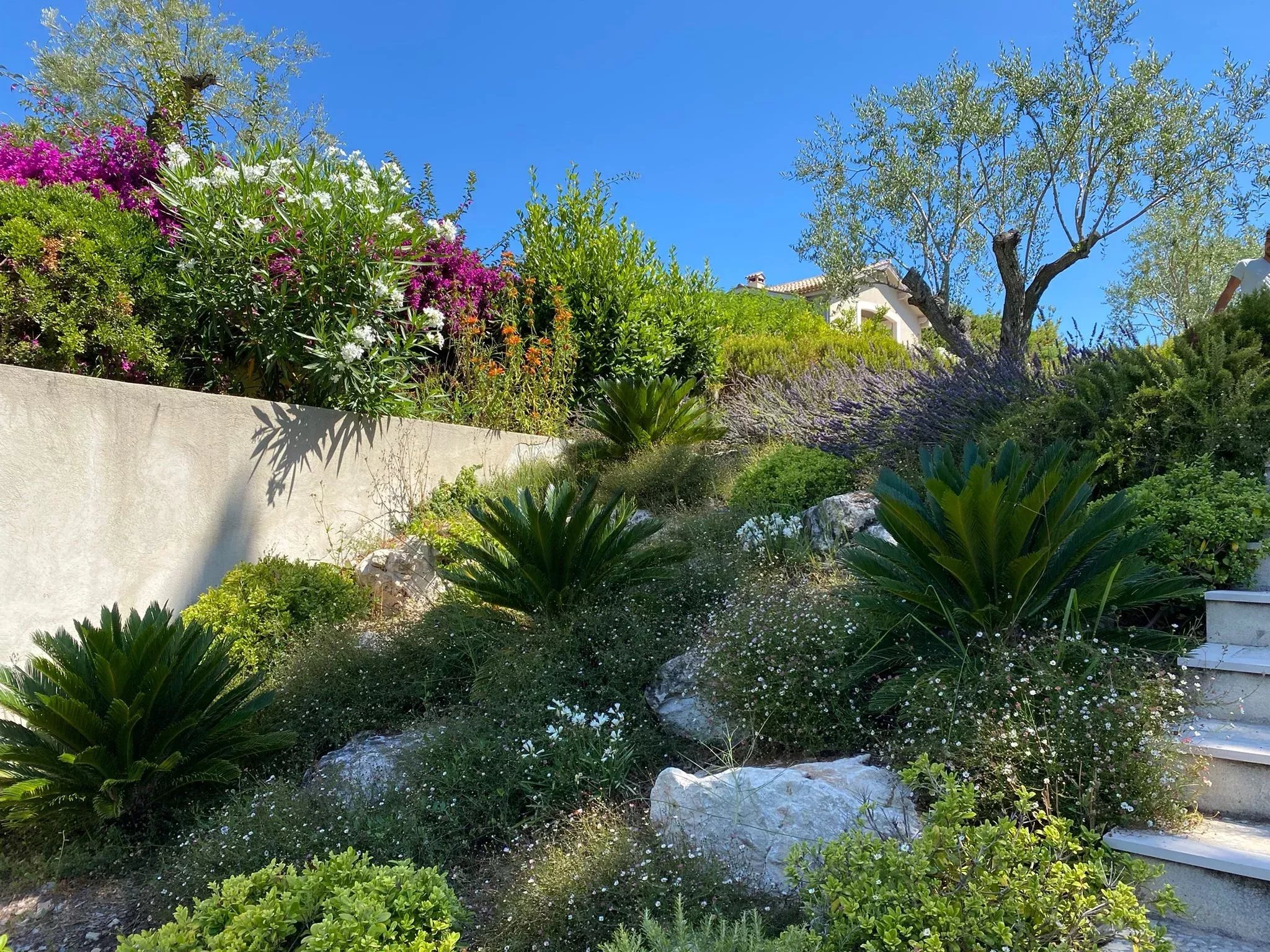 6 Bed, 7 Bath, HouseFor Sale, Antibes, Alpes-Maritimes