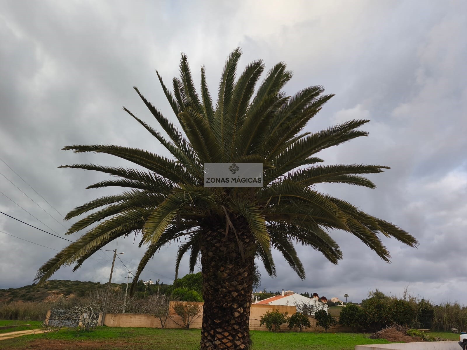 5 Bed, 4 Bath, HouseFor Sale, Lagos, Faro, 8600-001