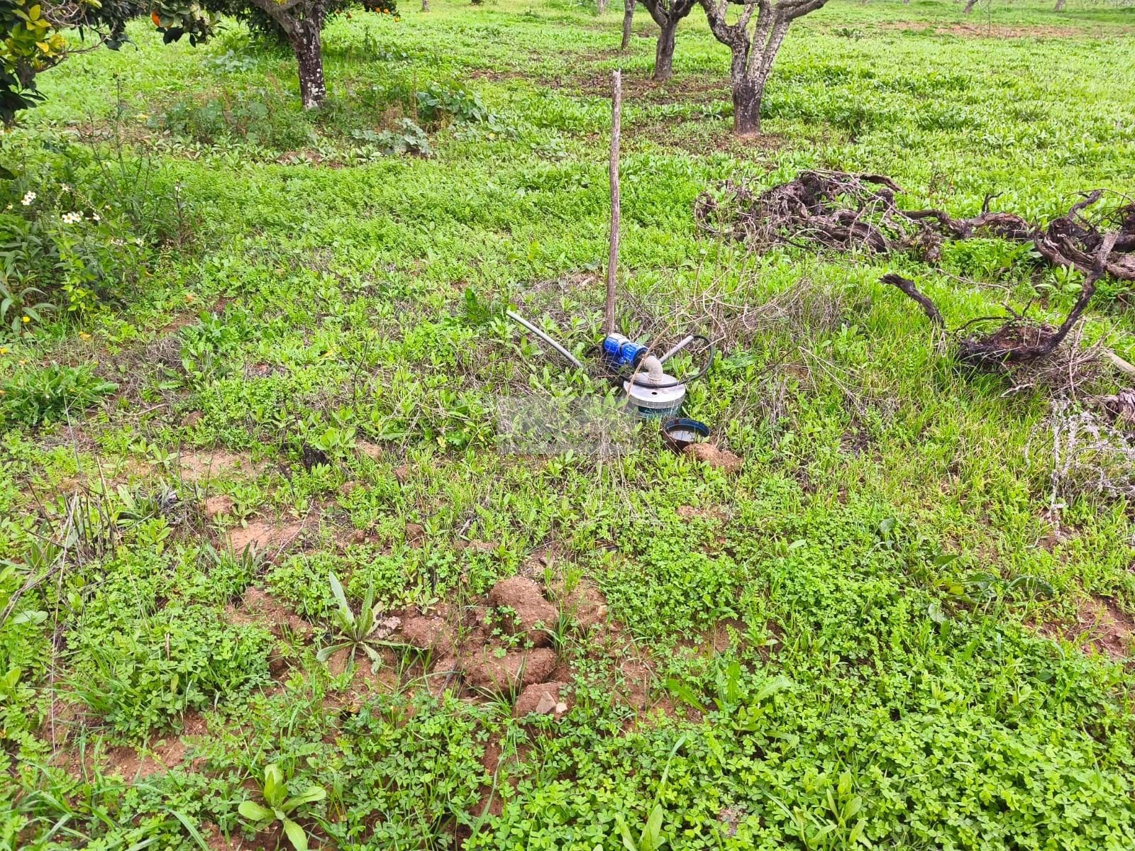 5 Bed, 4 Bath, HouseFor Sale, Lagos, Faro, 8600-001