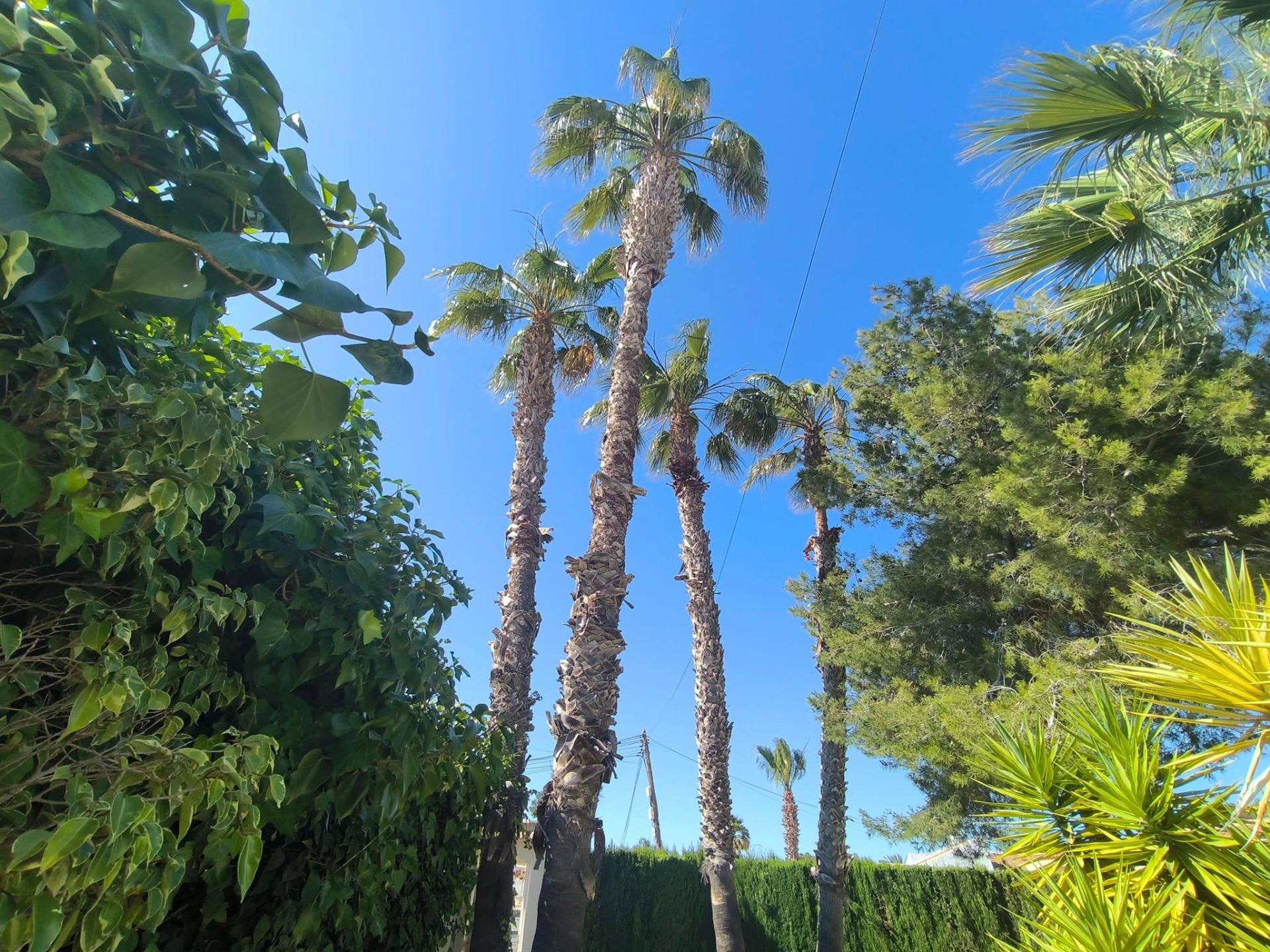 5 Bed, 2 Bath, HouseFor Sale, Torrevieja, Alicante