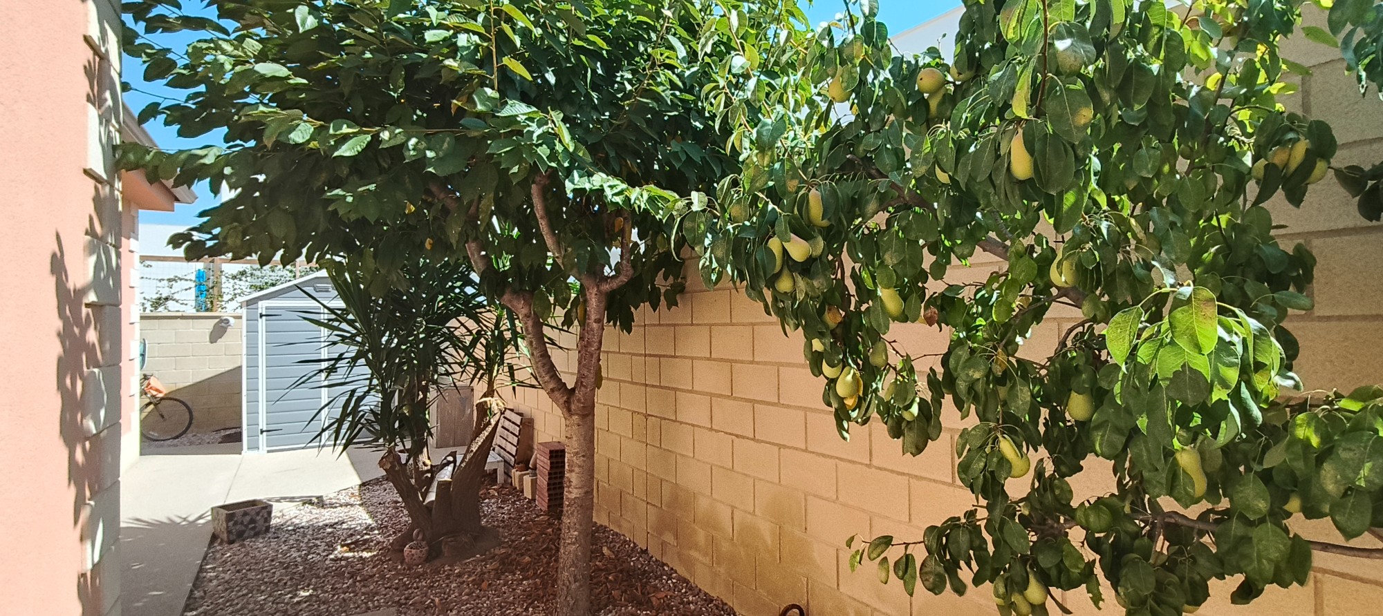 3 Bed, 2 Bath, HouseFor Sale, La Romana, Alicante