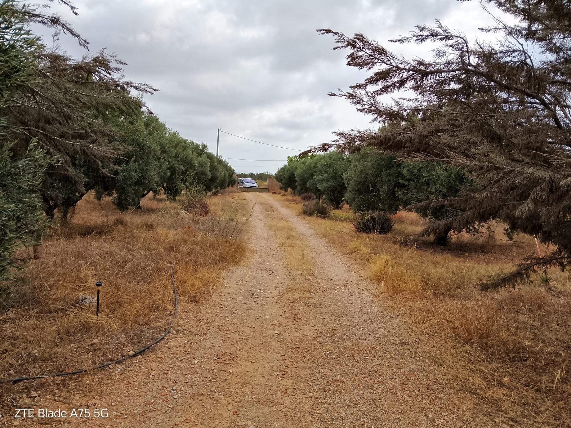 4 Bed, 2 Bath, HouseFor Sale, Cartagena, Murcia