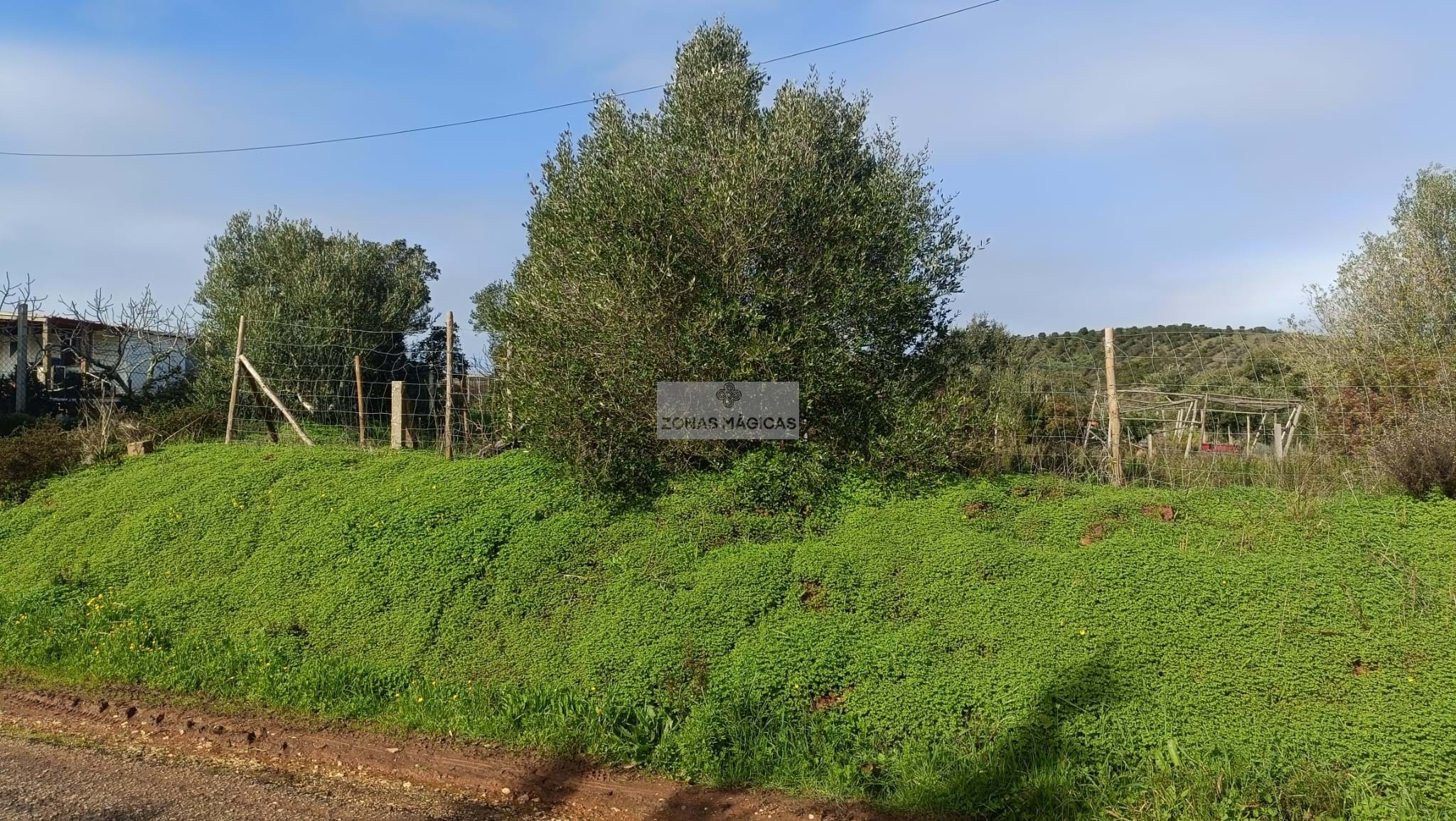 Land, For Sale