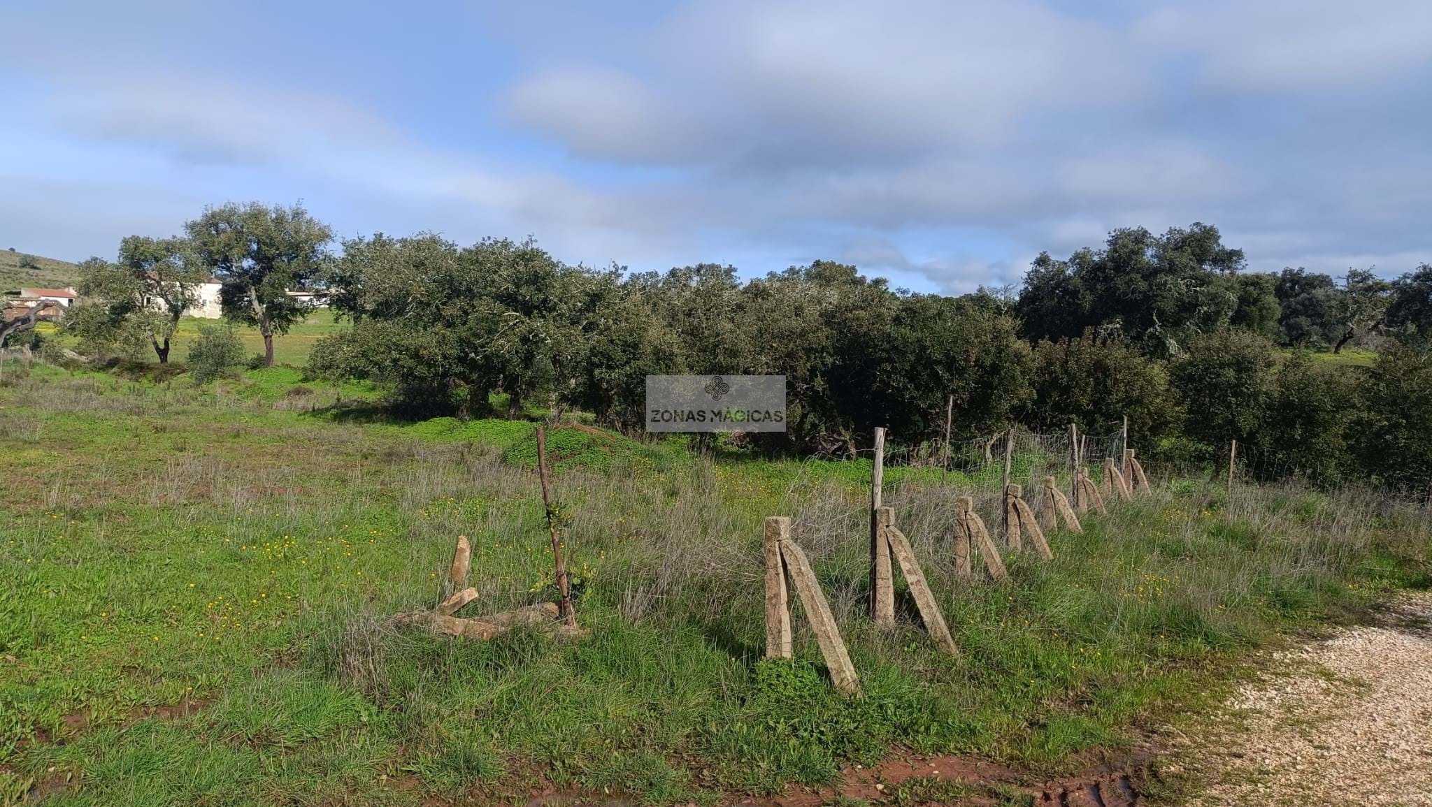 Land, For Sale