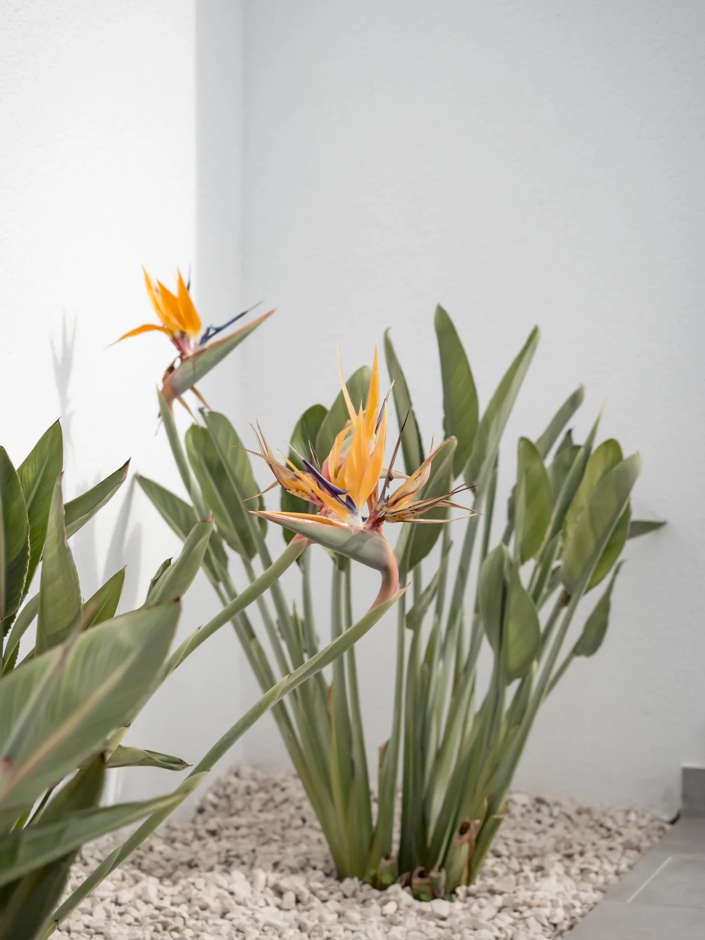 4 Bed, 3 Bath, HouseFor Sale, Benitachell, Alicante