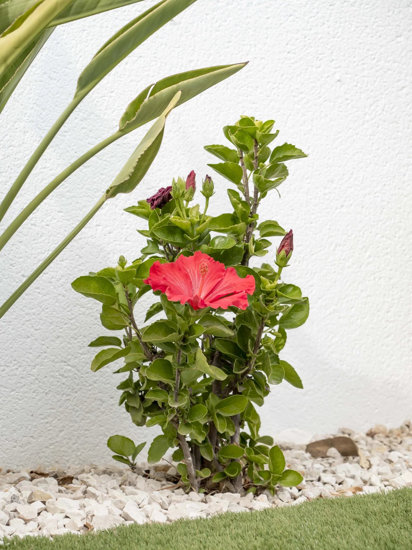 4 Bed, 3 Bath, HouseFor Sale, Benitachell, Alicante