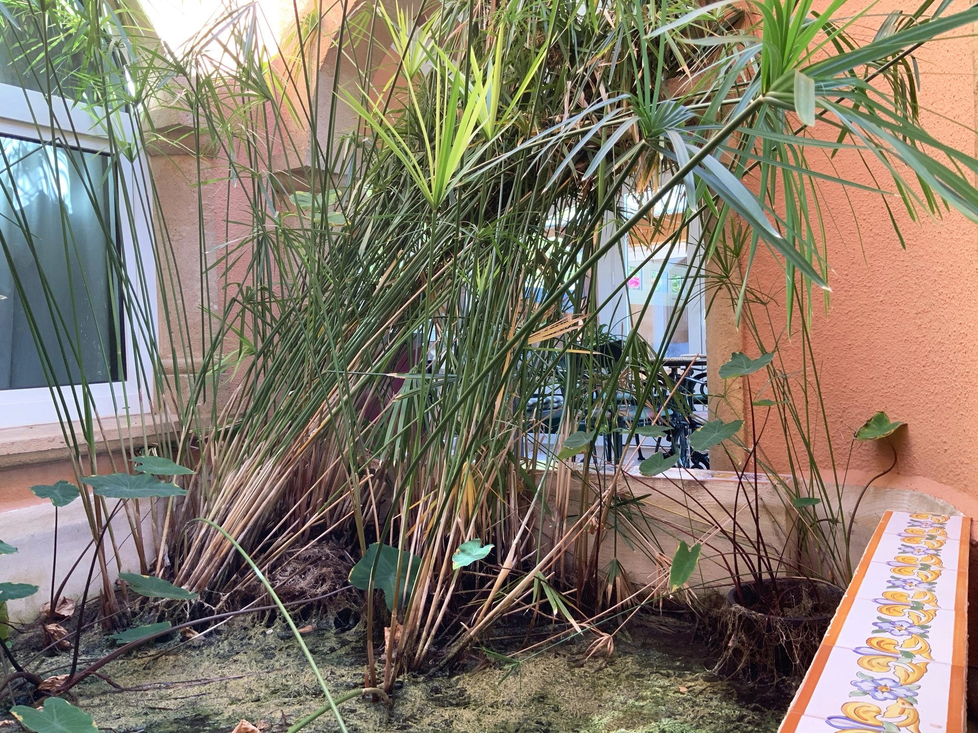 4 Bed, 6 Bath, HouseFor Sale, Javea, Alicante