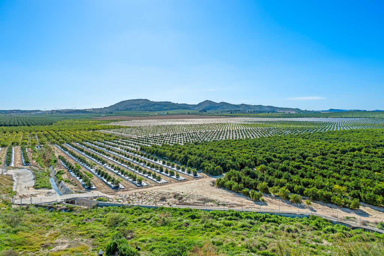 2 Bed, 1 Bath, ApartmentFor Sale, Algorfa, Alicante