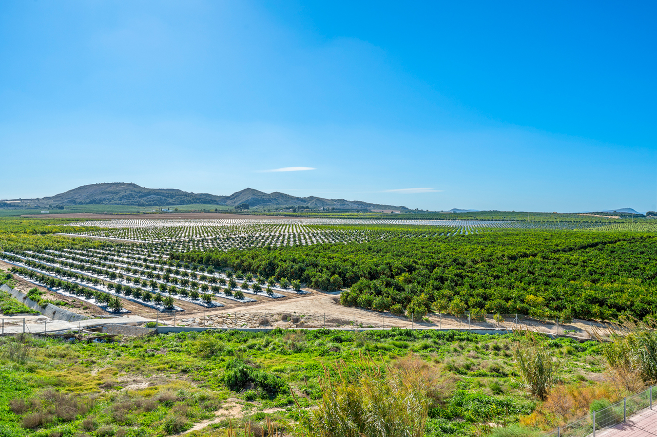 2 Bed, 1 Bath, ApartmentFor Sale, Algorfa, Alicante