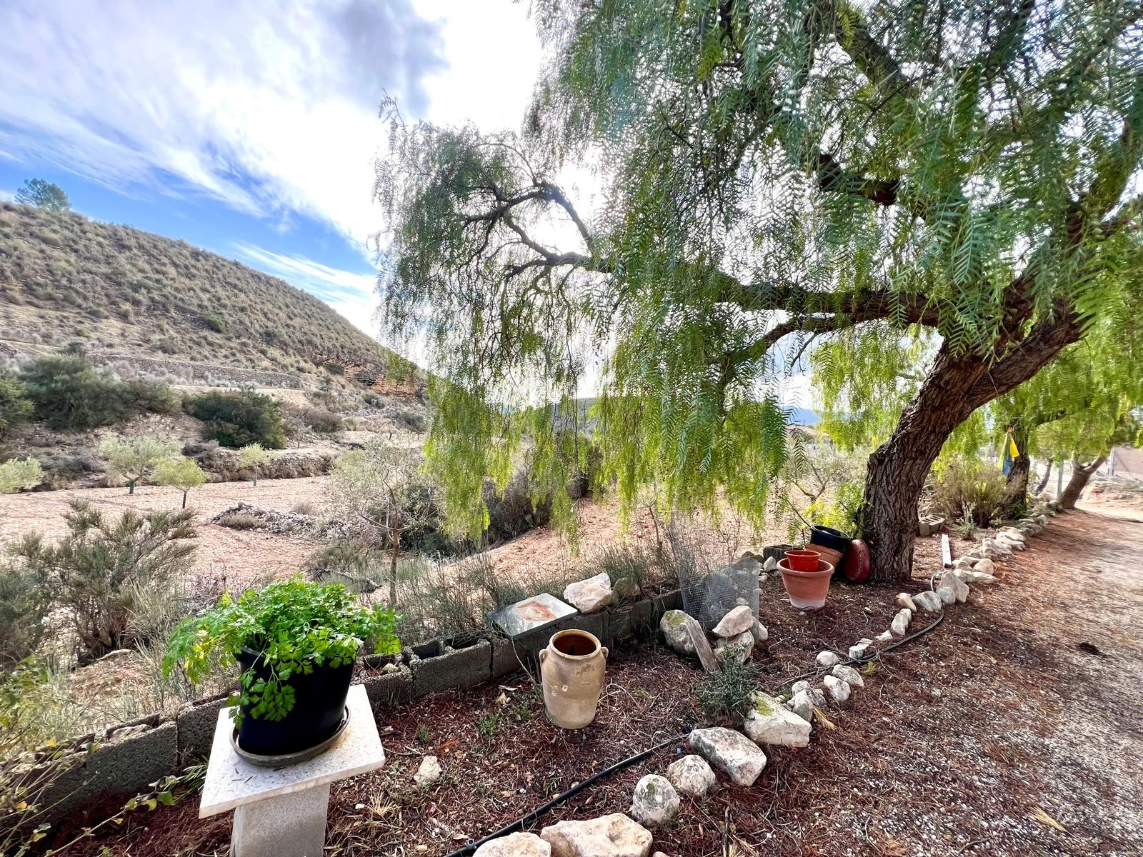 3 Bed, 1 Bath, HouseFor Sale, Monóvar/Monóver, Alicante