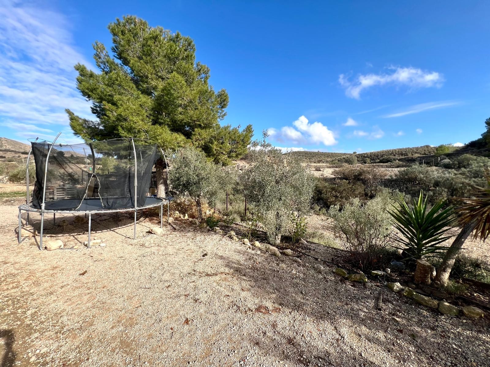 3 Bed, 1 Bath, HouseFor Sale, Monóvar/Monóver, Alicante