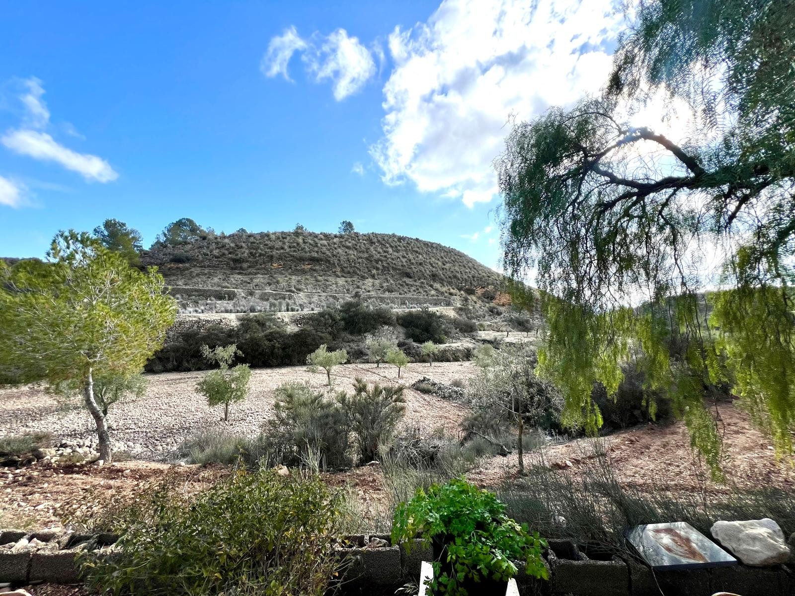 3 Bed, 1 Bath, HouseFor Sale, Monóvar/Monóver, Alicante