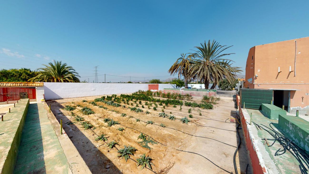 5 Bed, 1 Bath, HouseFor Sale, Albatera, Alicante