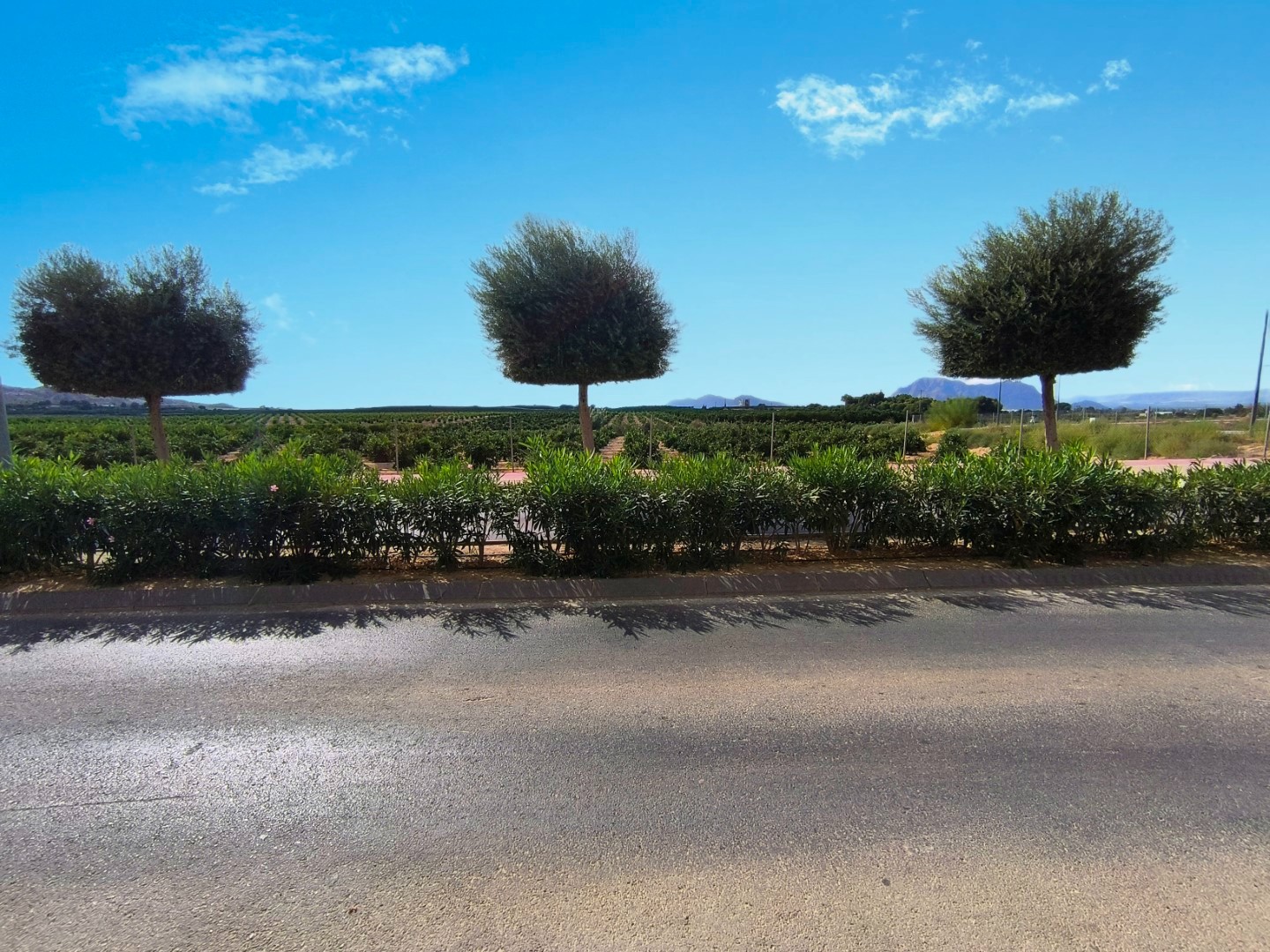 2 Bed, 1 Bath, ApartmentFor Sale, Algorfa, Alicante