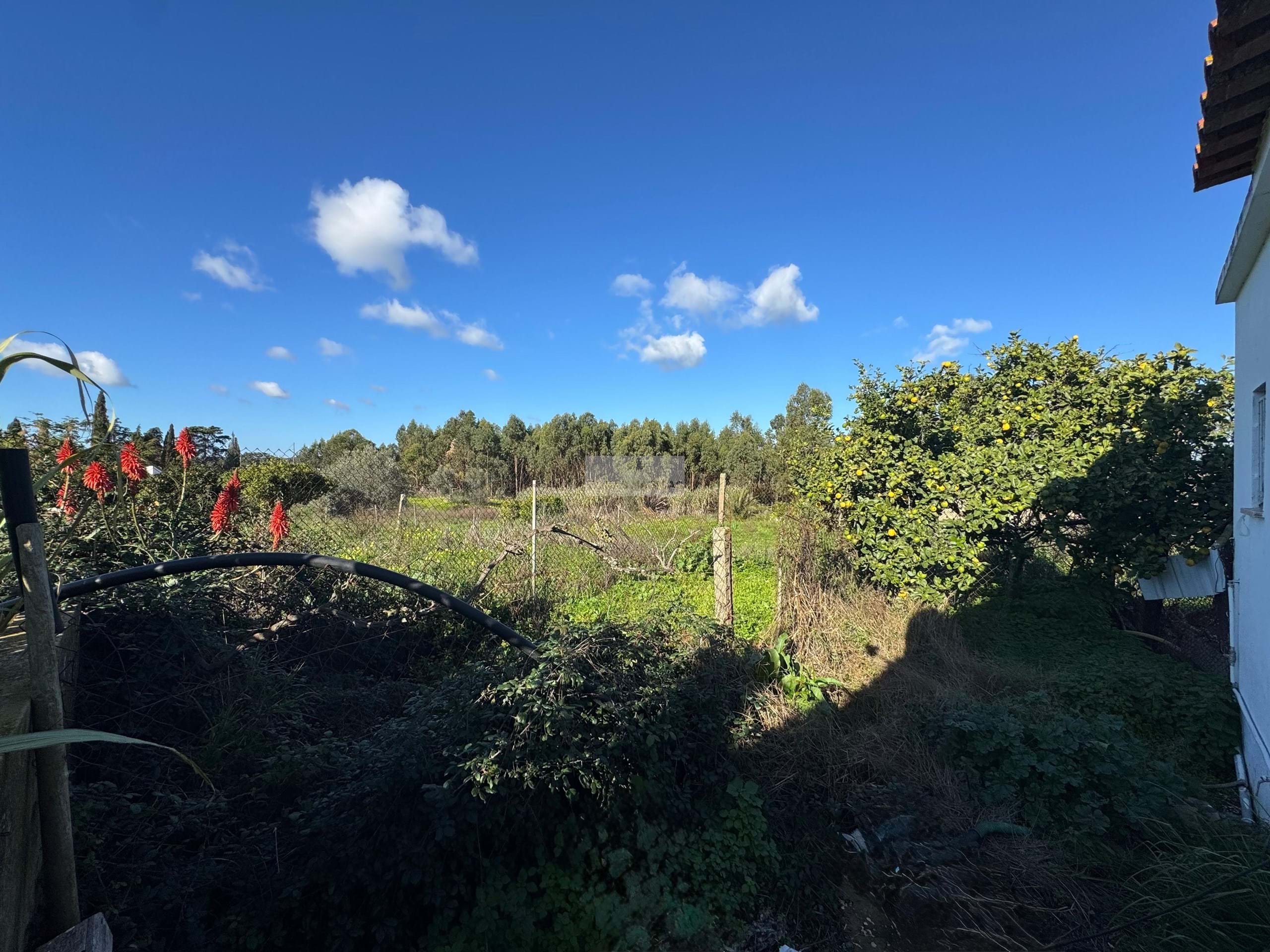 3 Bed, 2 Bath, HouseFor Sale, Lagos, Faro, 8600-252