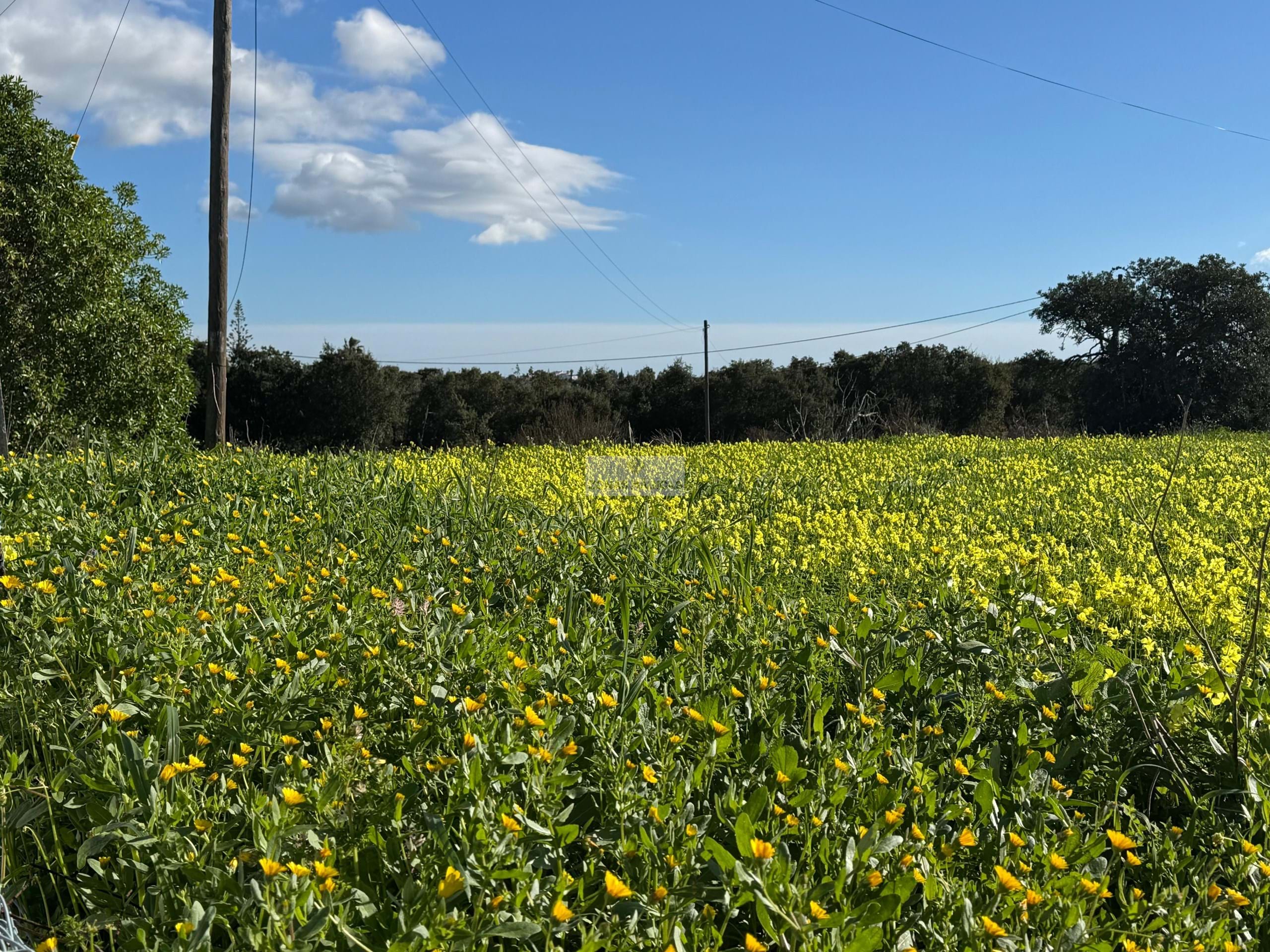 3 Bed, 2 Bath, HouseFor Sale, Lagos, Faro, 8600-252