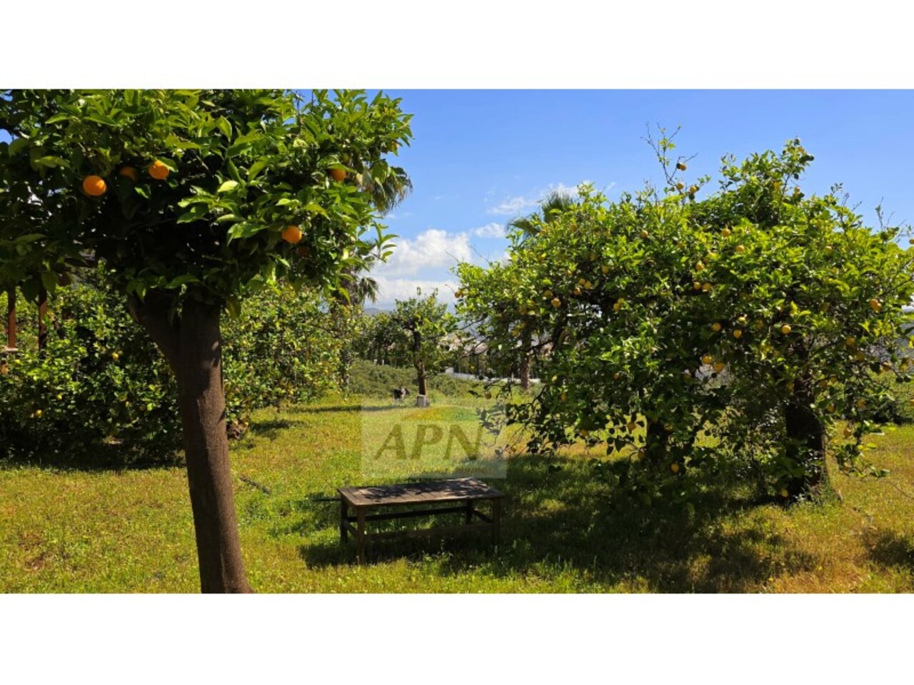 5 Bed, 4 Bath, HouseFor Sale, Álora, Malaga