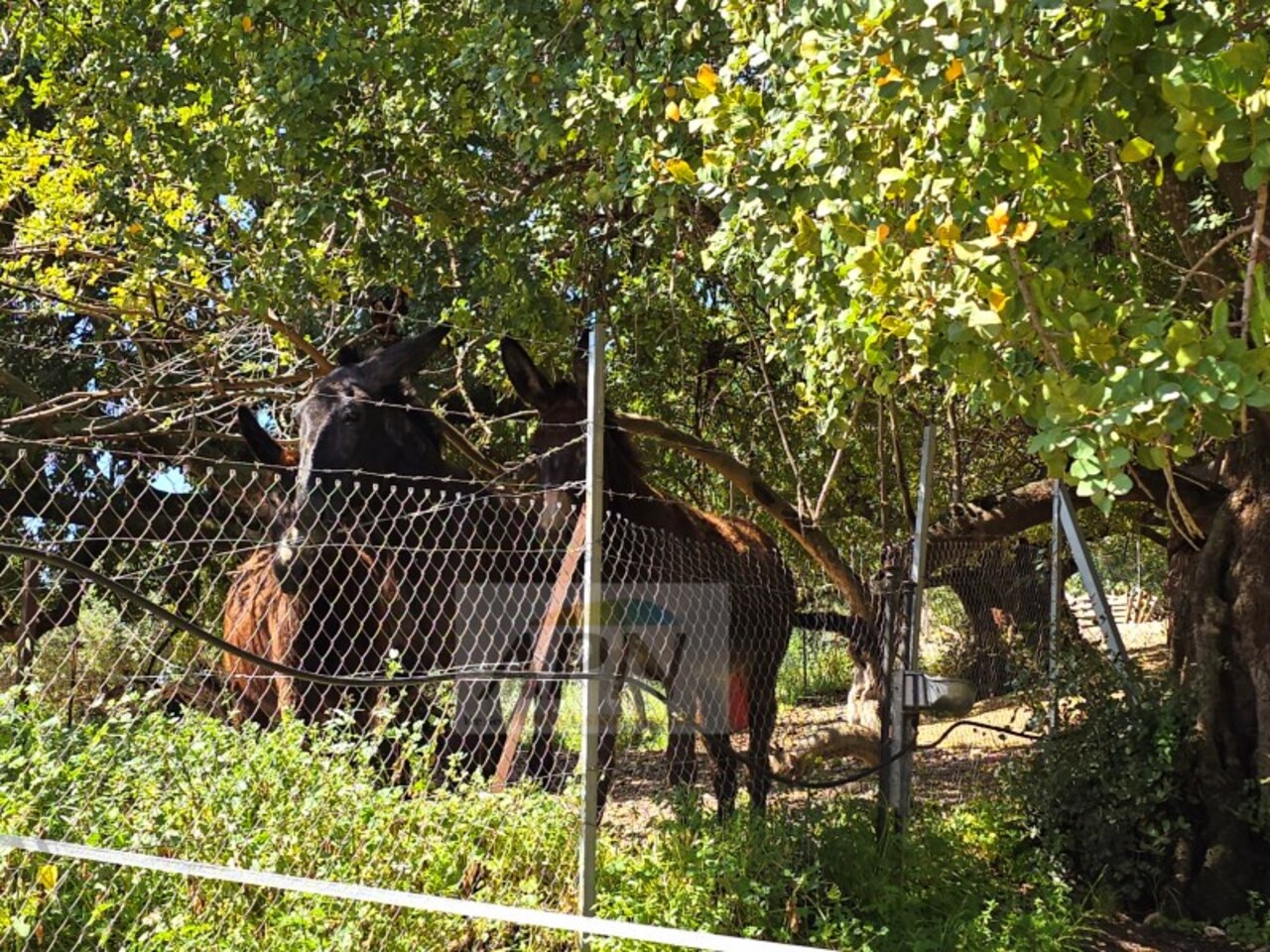 5 Bed, 4 Bath, HouseFor Sale, Álora, Malaga