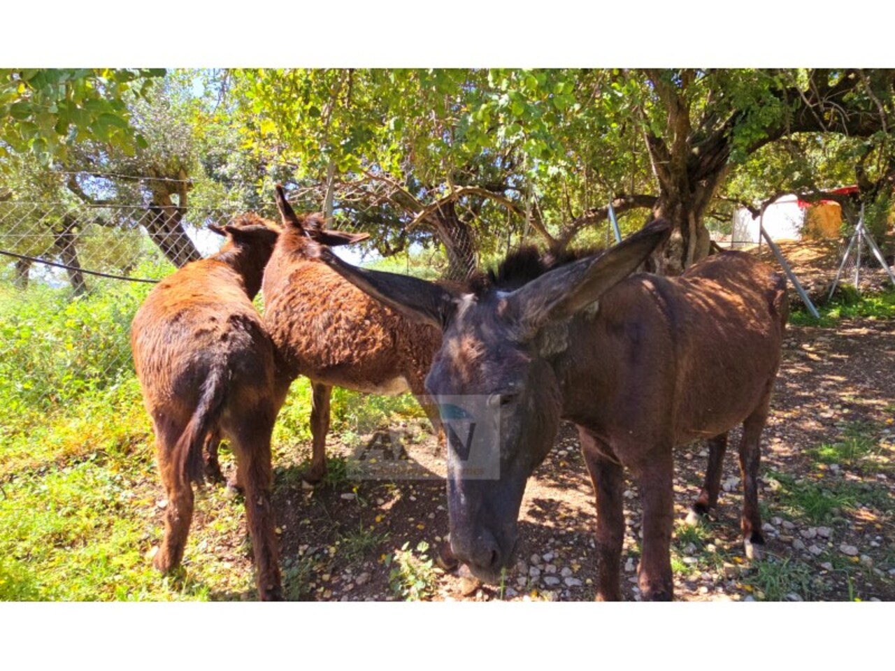 5 Bed, 4 Bath, HouseFor Sale, Álora, Malaga