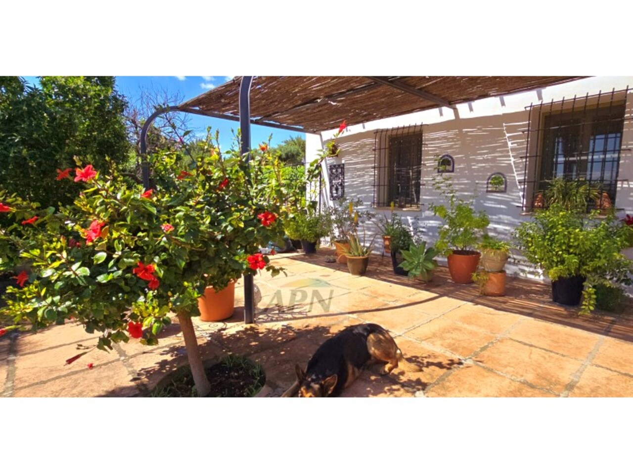 5 Bed, 4 Bath, HouseFor Sale, Álora, Malaga