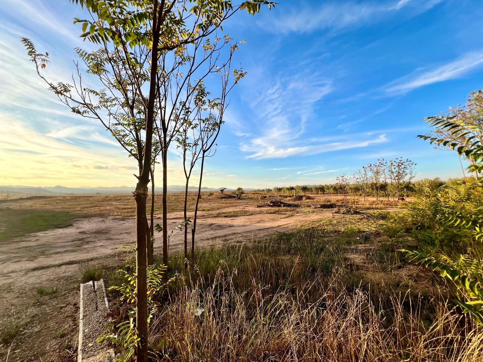 4 Bed, 2 Bath, HouseFor Sale, Yecla, Murcia