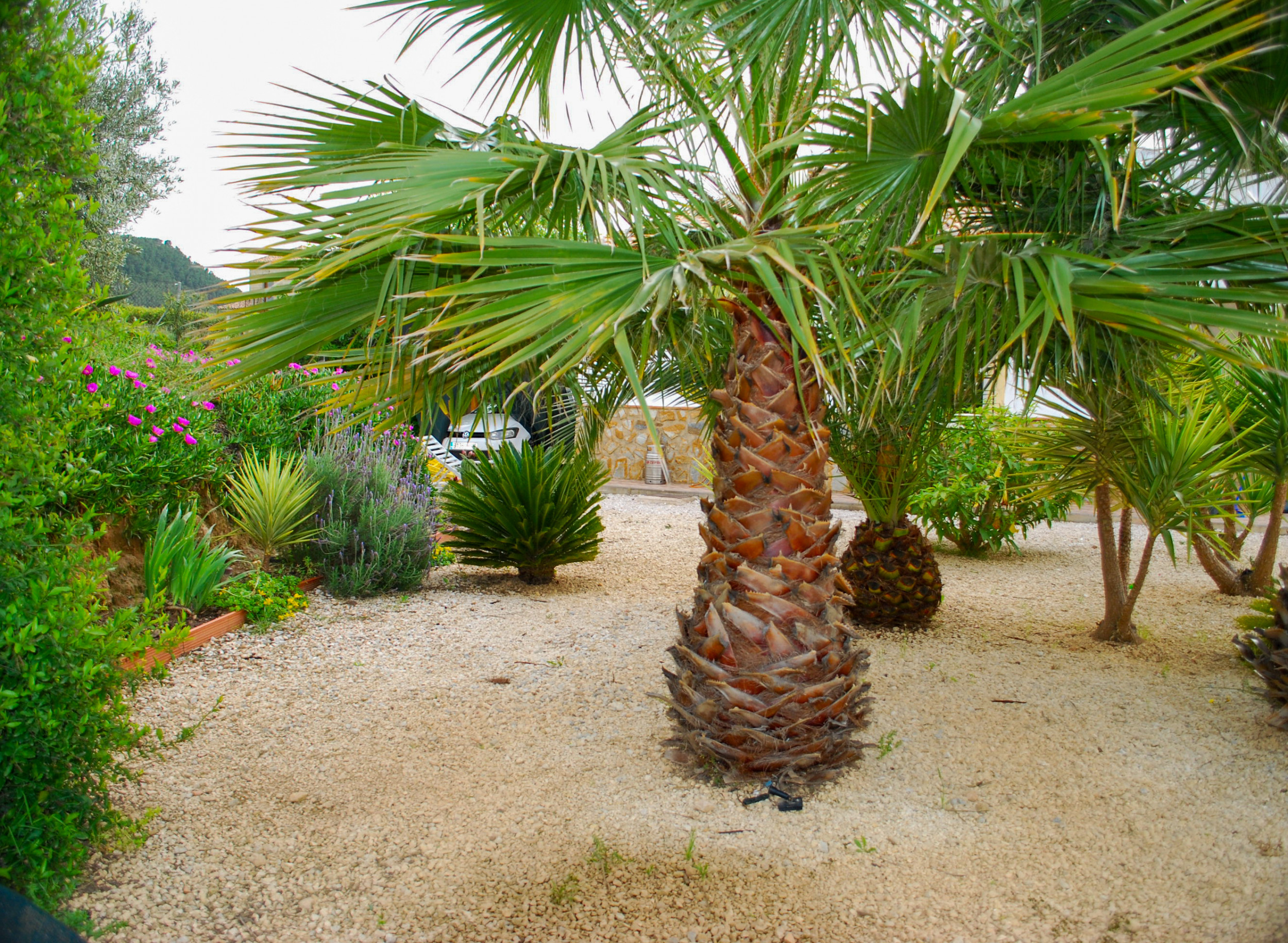 3 Bed, 2 Bath, HouseFor Sale, Pliego, Murcia