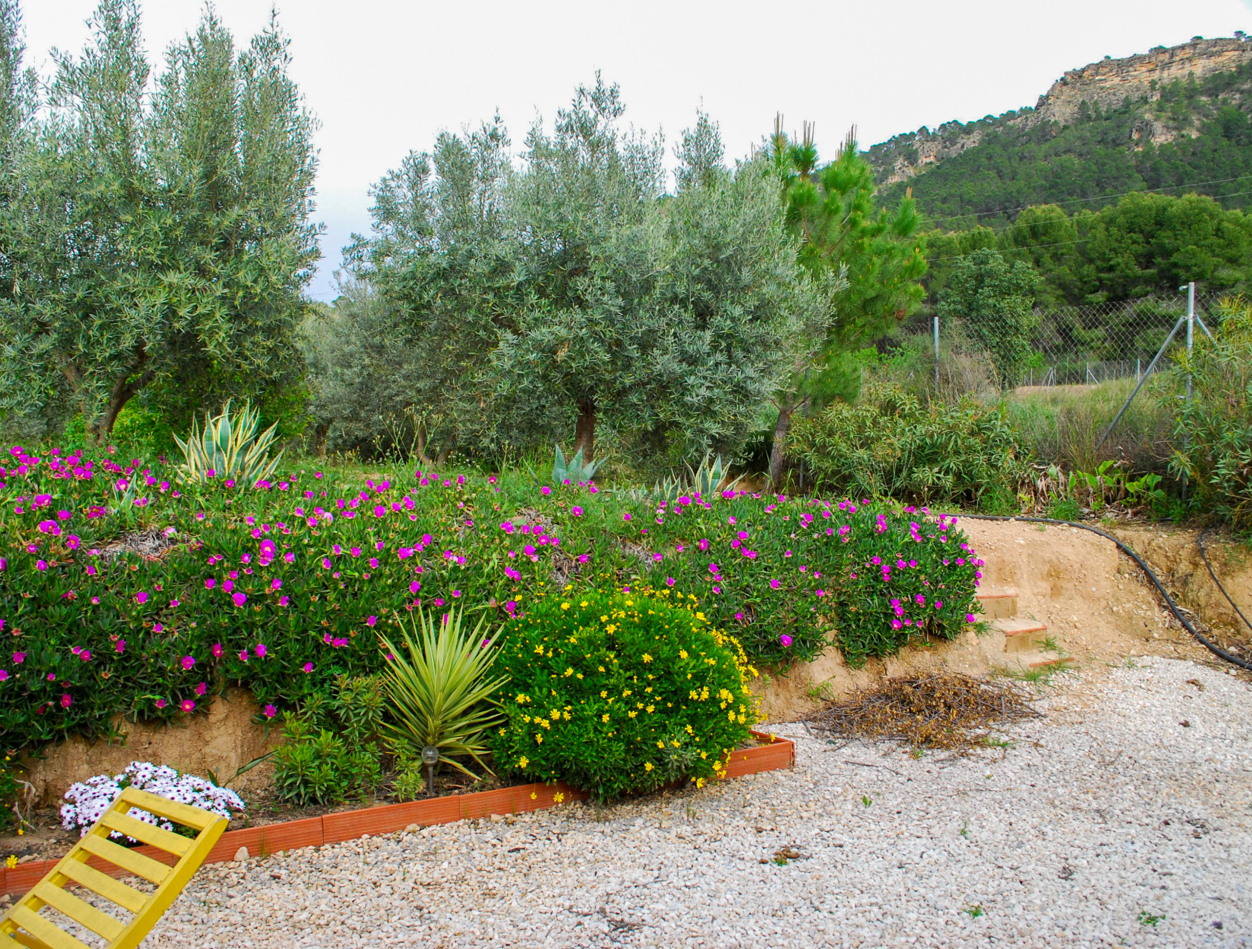 3 Bed, 2 Bath, HouseFor Sale, Pliego, Murcia