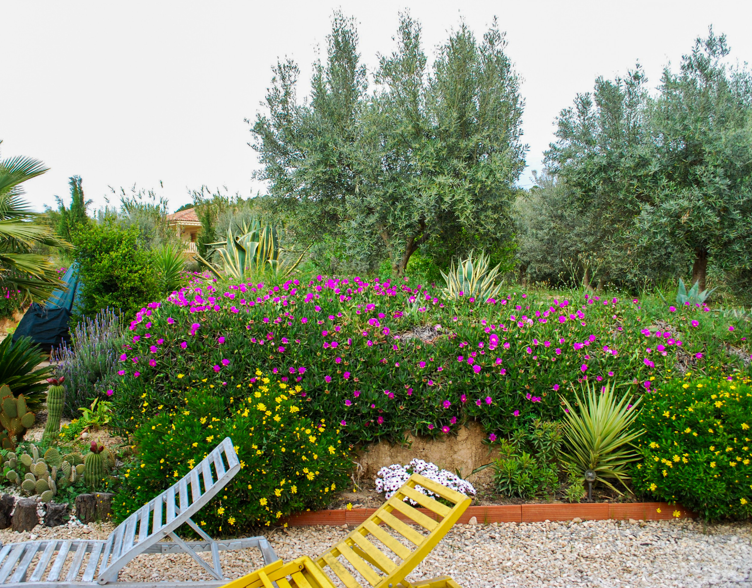 3 Bed, 2 Bath, HouseFor Sale, Pliego, Murcia