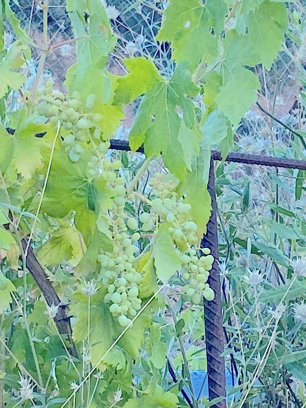 2 Bed, 1 Bath, HouseFor Sale, Monda, Malaga