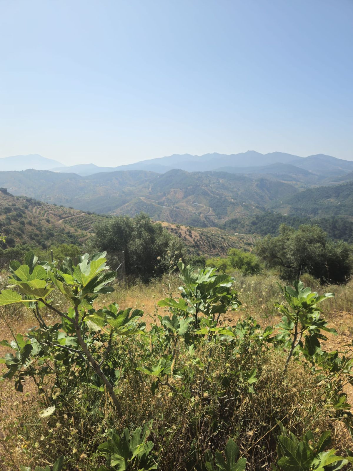 2 Bed, 1 Bath, HouseFor Sale, Monda, Malaga