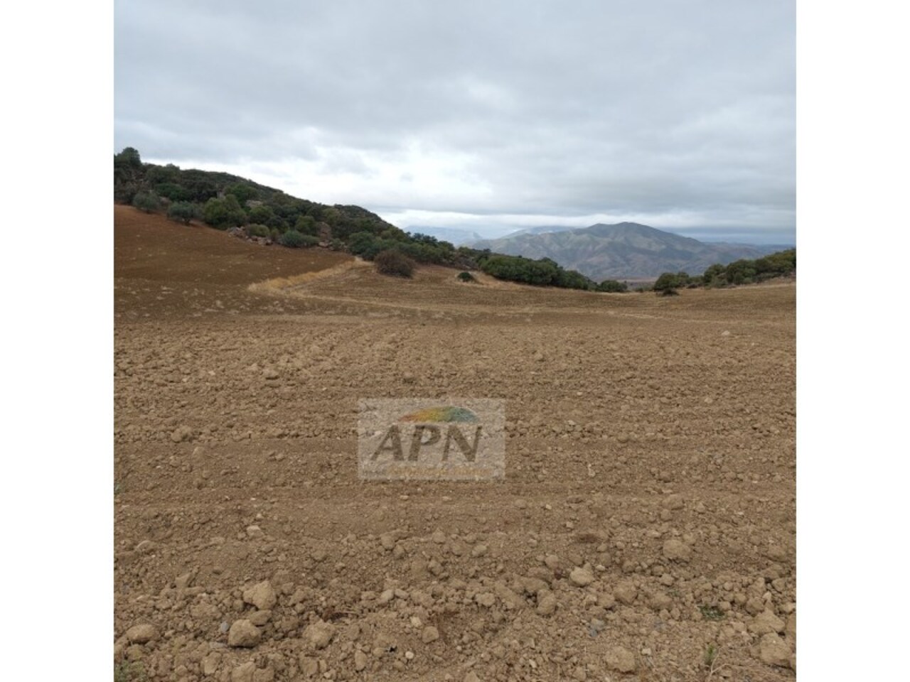 1 Bed, 1 Bath, HouseFor Sale, Álora, Malaga