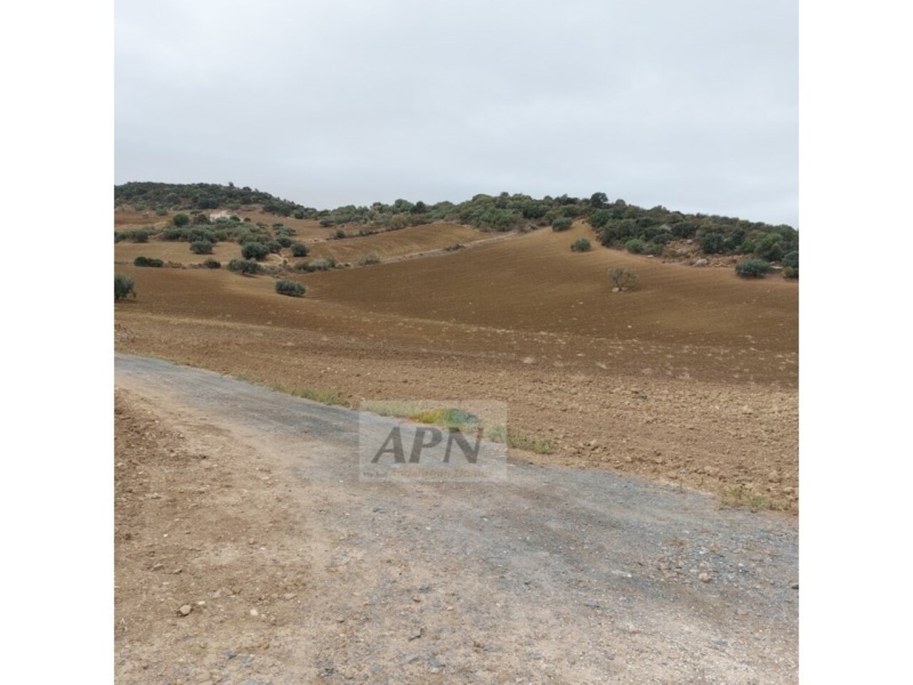 1 Bed, 1 Bath, HouseFor Sale, Álora, Malaga