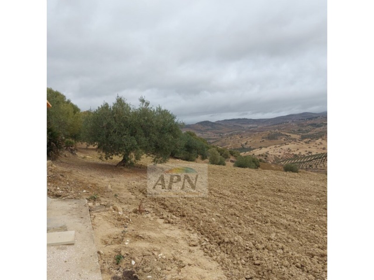 1 Bed, 1 Bath, HouseFor Sale, Álora, Malaga