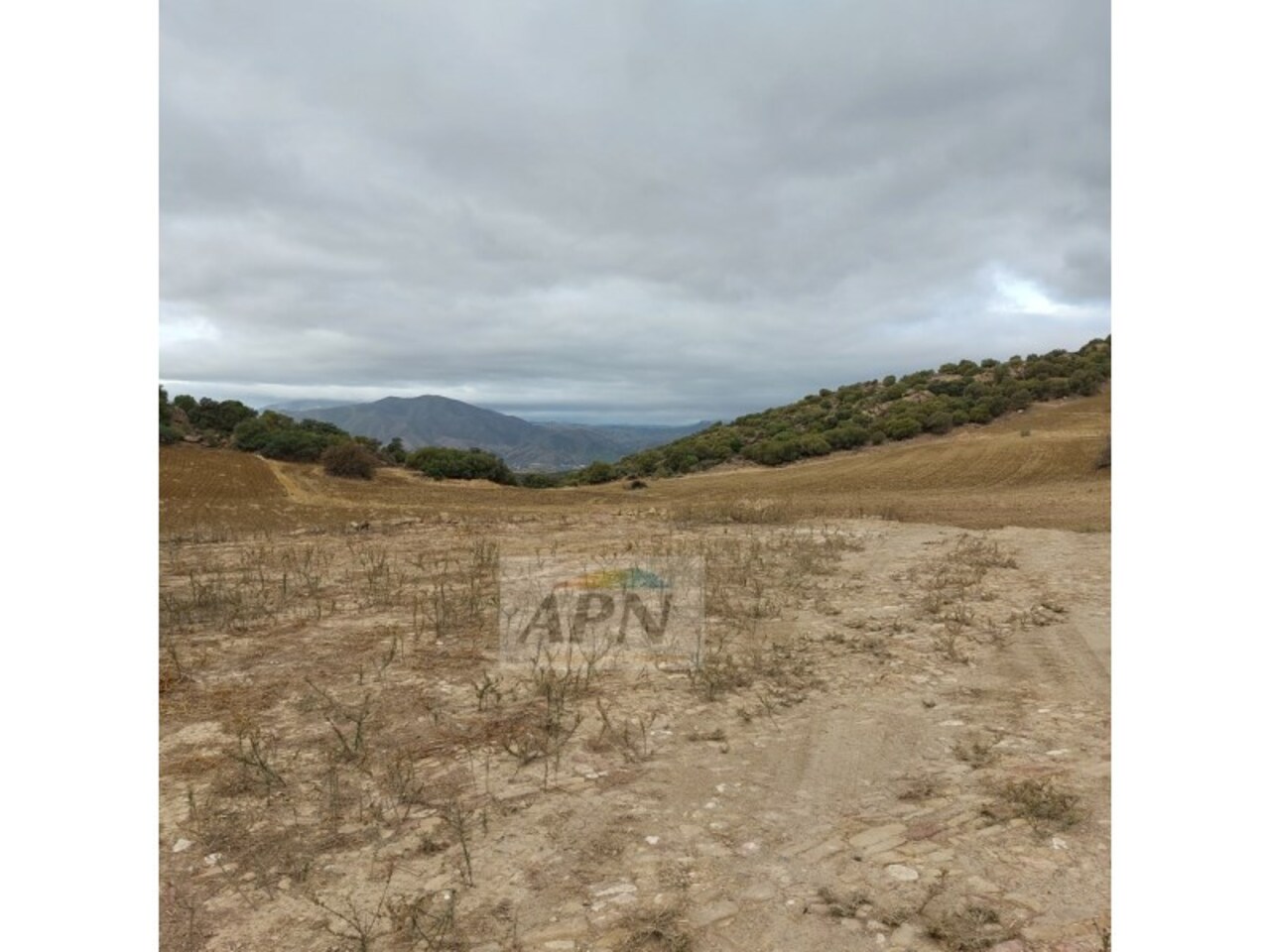 1 Bed, 1 Bath, HouseFor Sale, Álora, Malaga