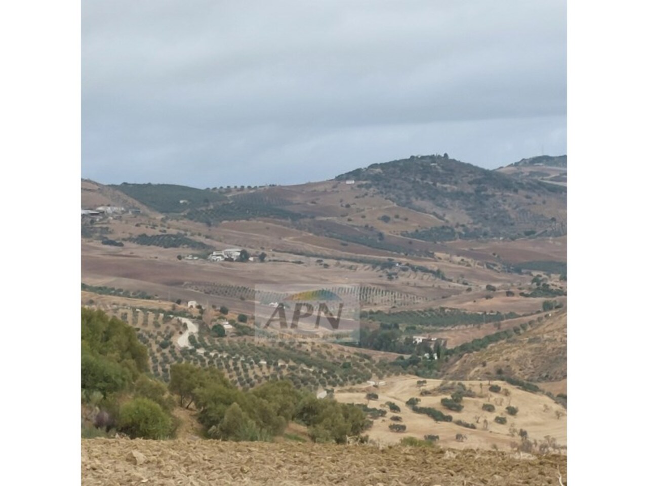 1 Bed, 1 Bath, HouseFor Sale, Álora, Malaga