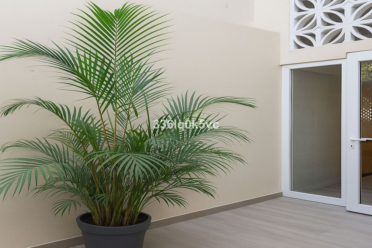 2 Bed, 1 Bath, ApartmentFor Sale, Marbella, Malaga