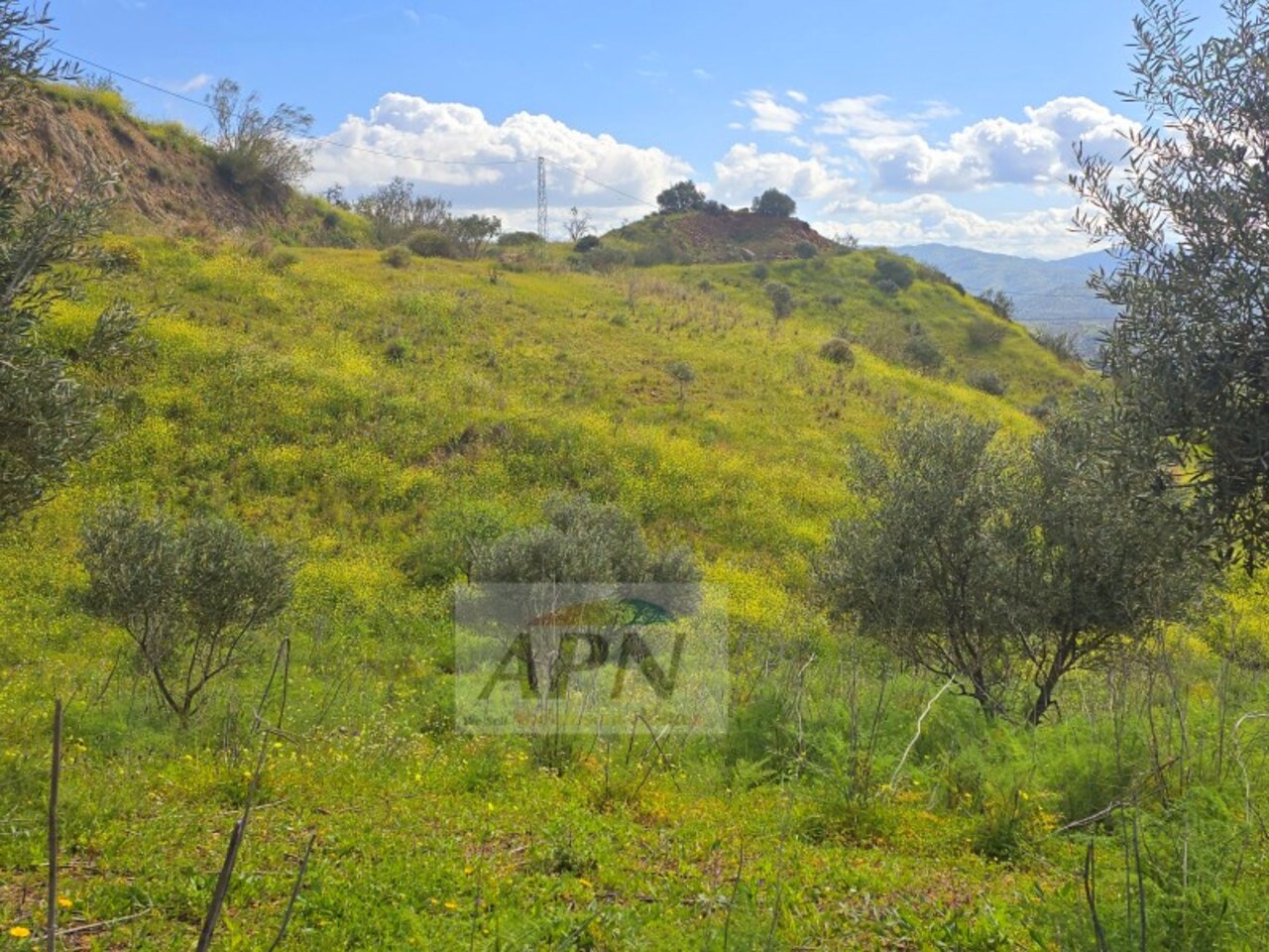 HouseFor Sale, Álora, Malaga