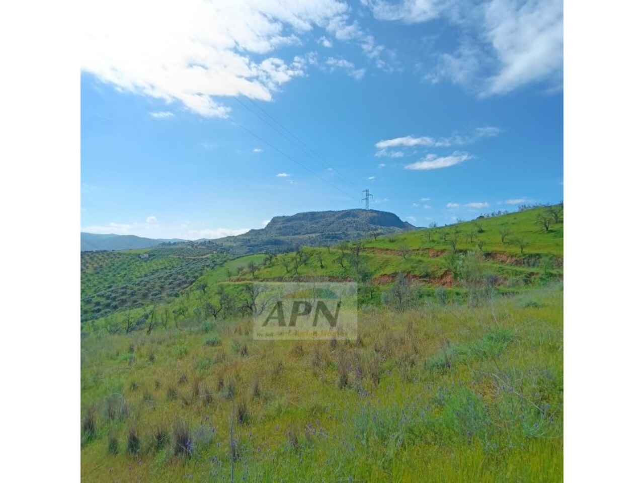 HouseFor Sale, Álora, Malaga