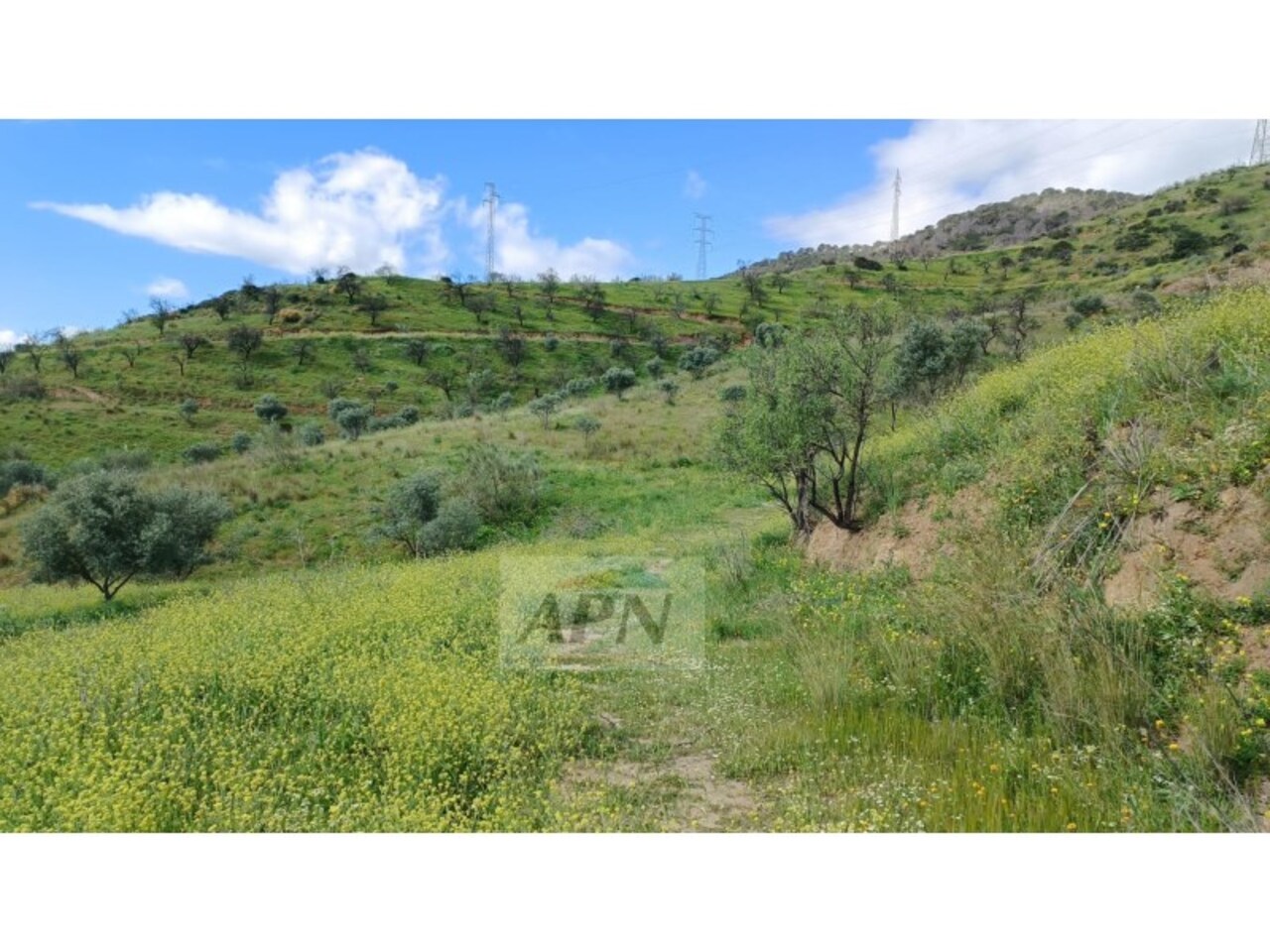 HouseFor Sale, Álora, Malaga