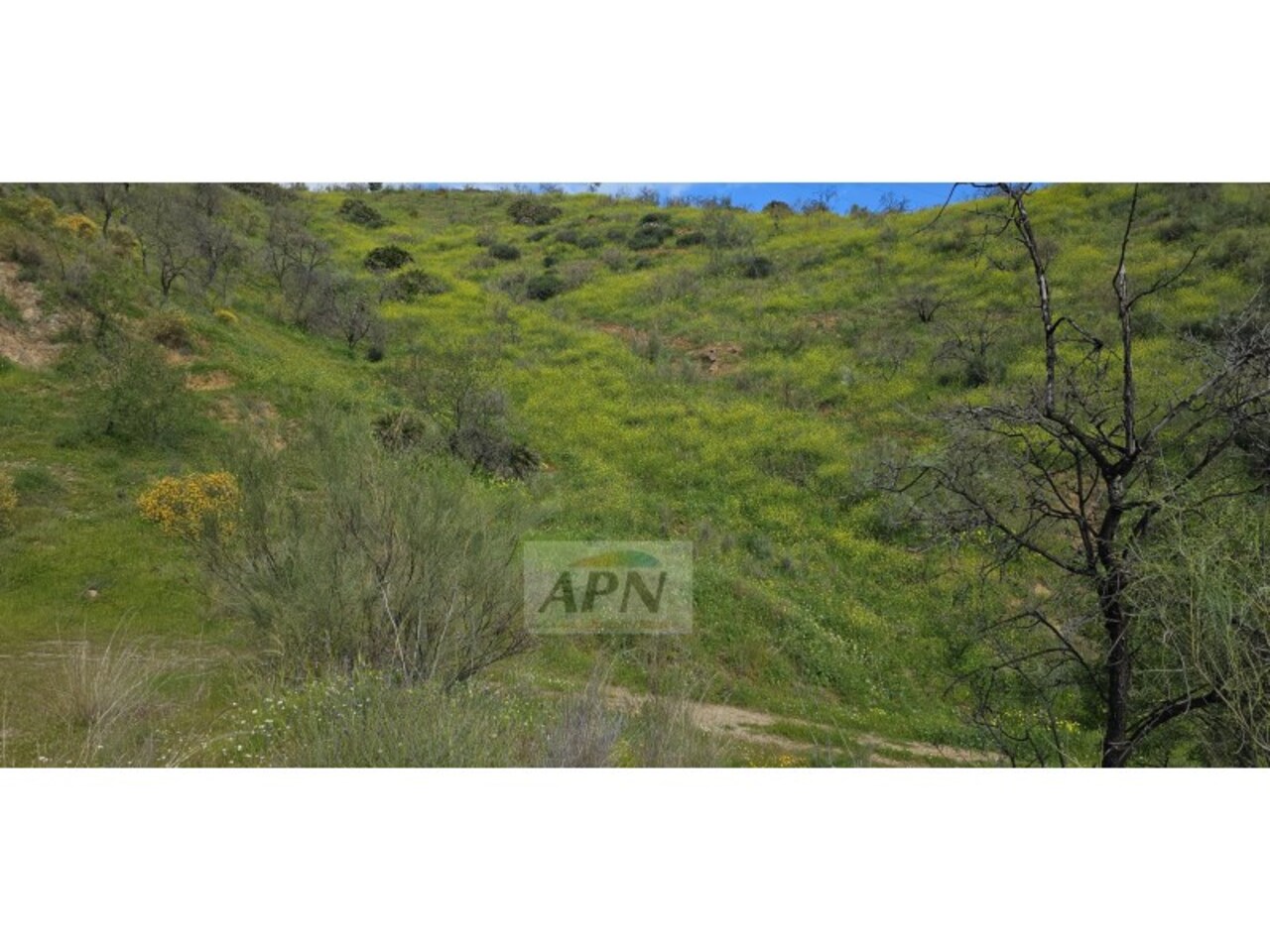 HouseFor Sale, Álora, Malaga