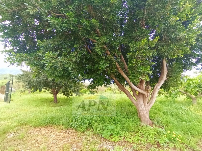 2 Bed, 1 Bath, HouseFor Sale, Álora, Malaga