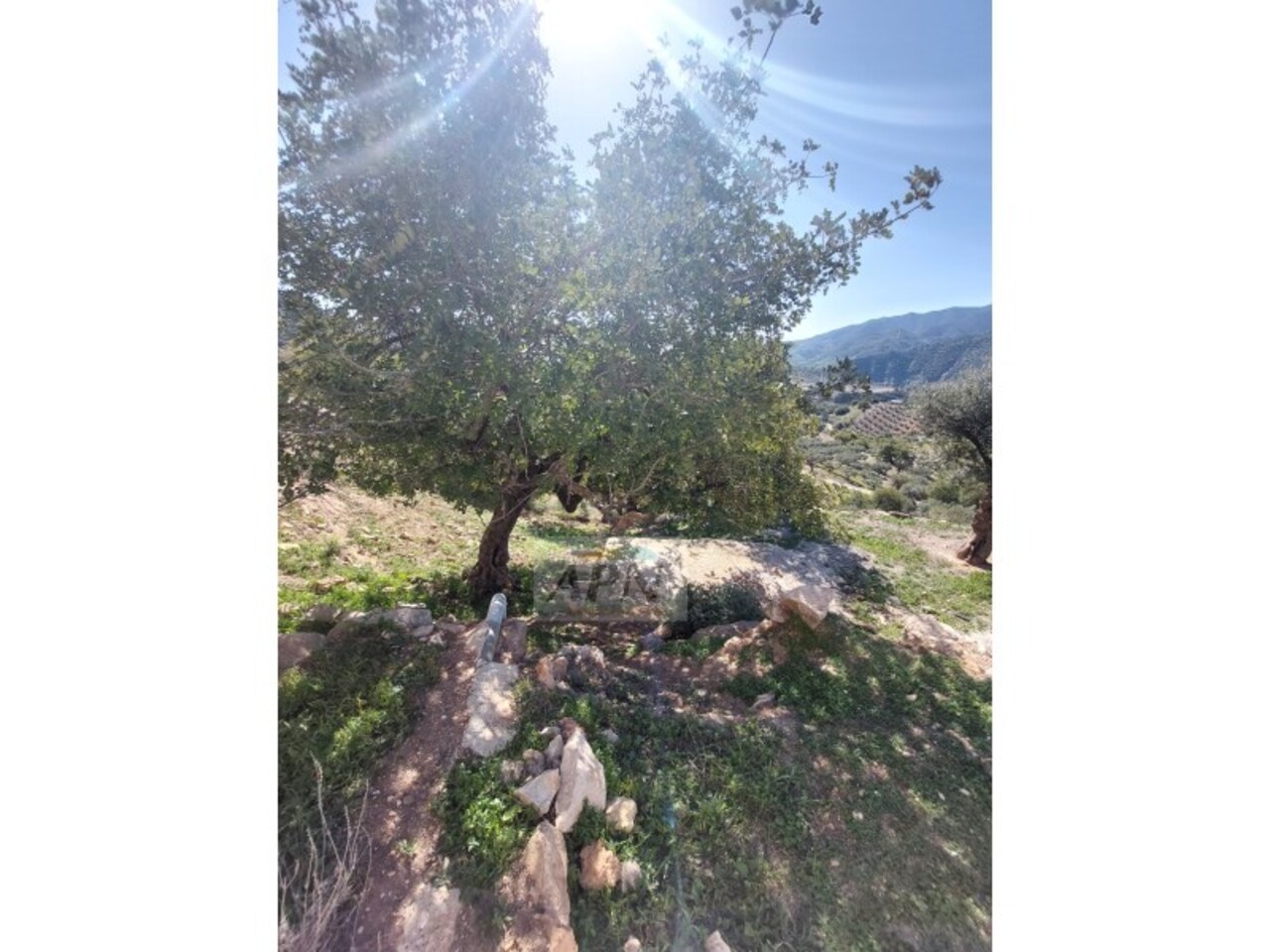 3 Bed, 1 Bath, HouseFor Sale, Álora, Malaga